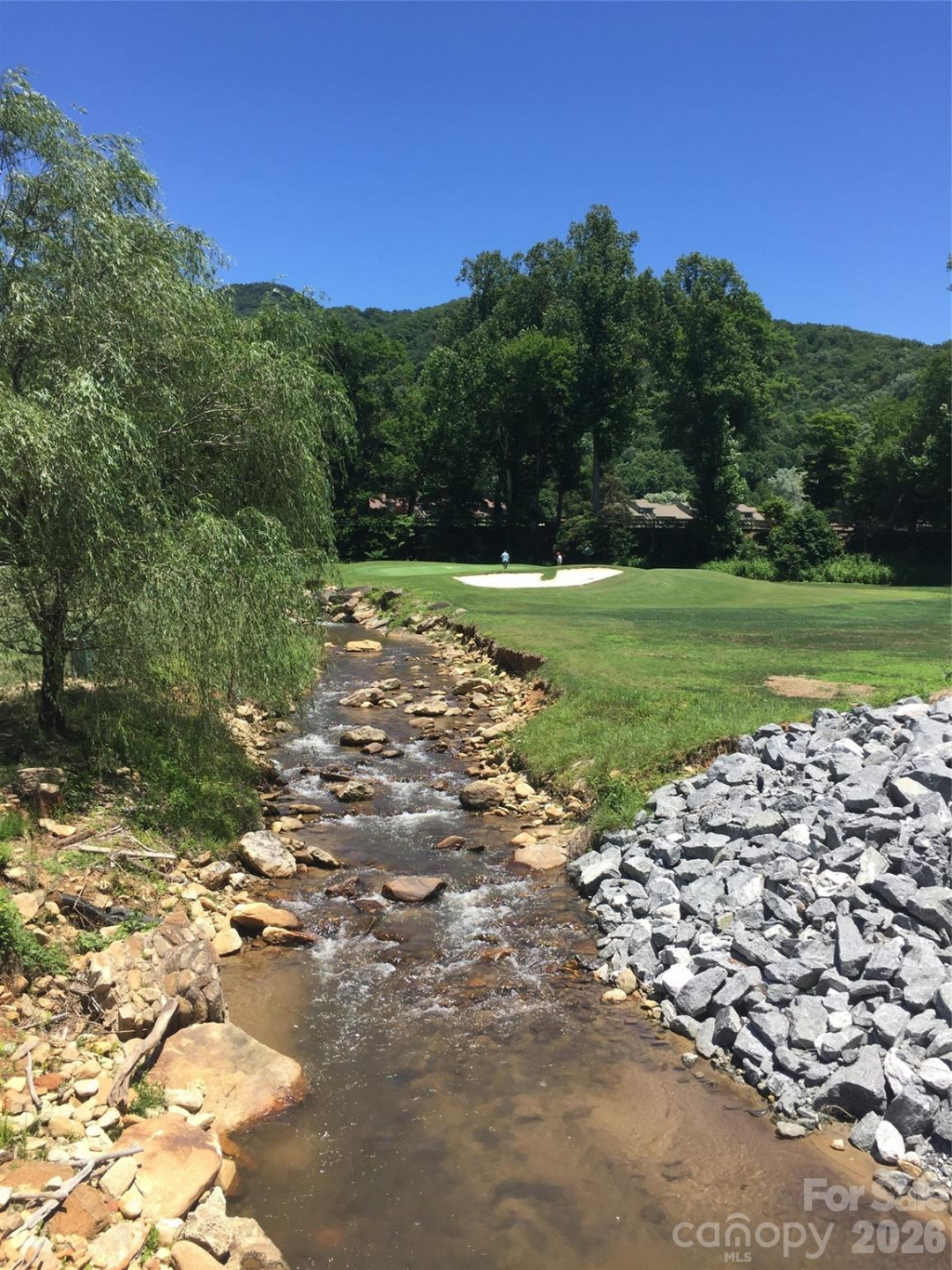 160 Whitney Boulevard #31 - Photo 34