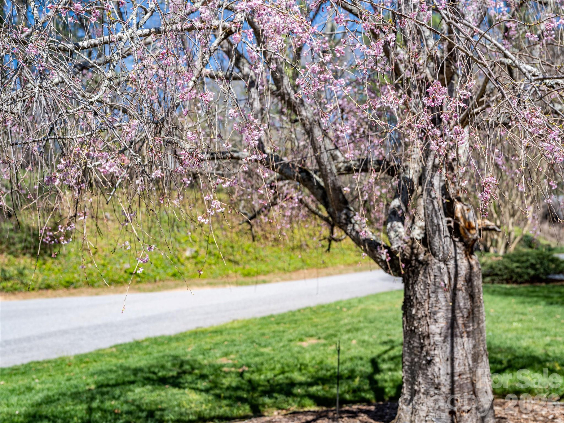 4 Dogwood Road - Photo 3