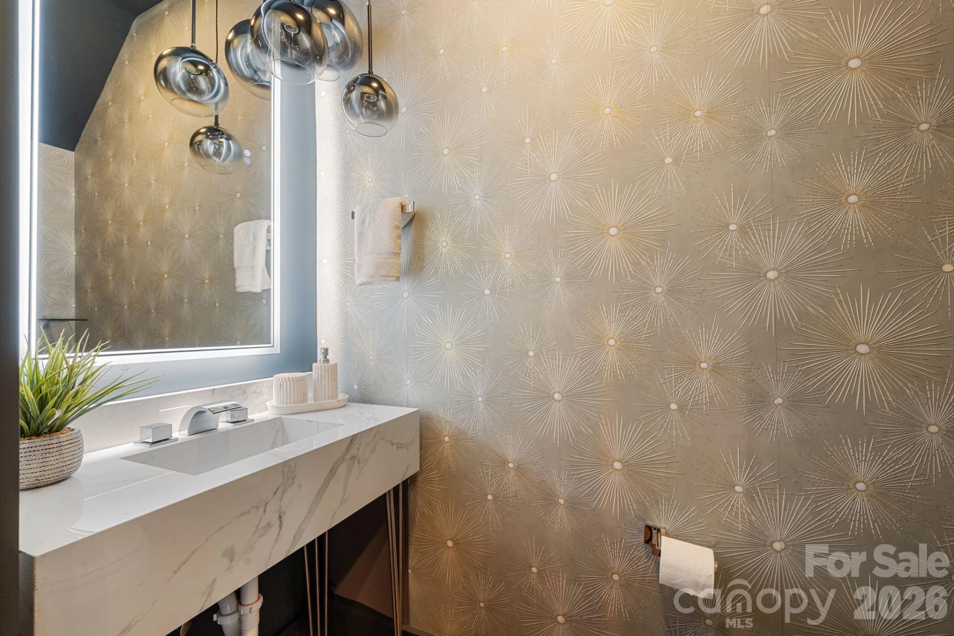 1605 Cannon View Lane - Photo 14