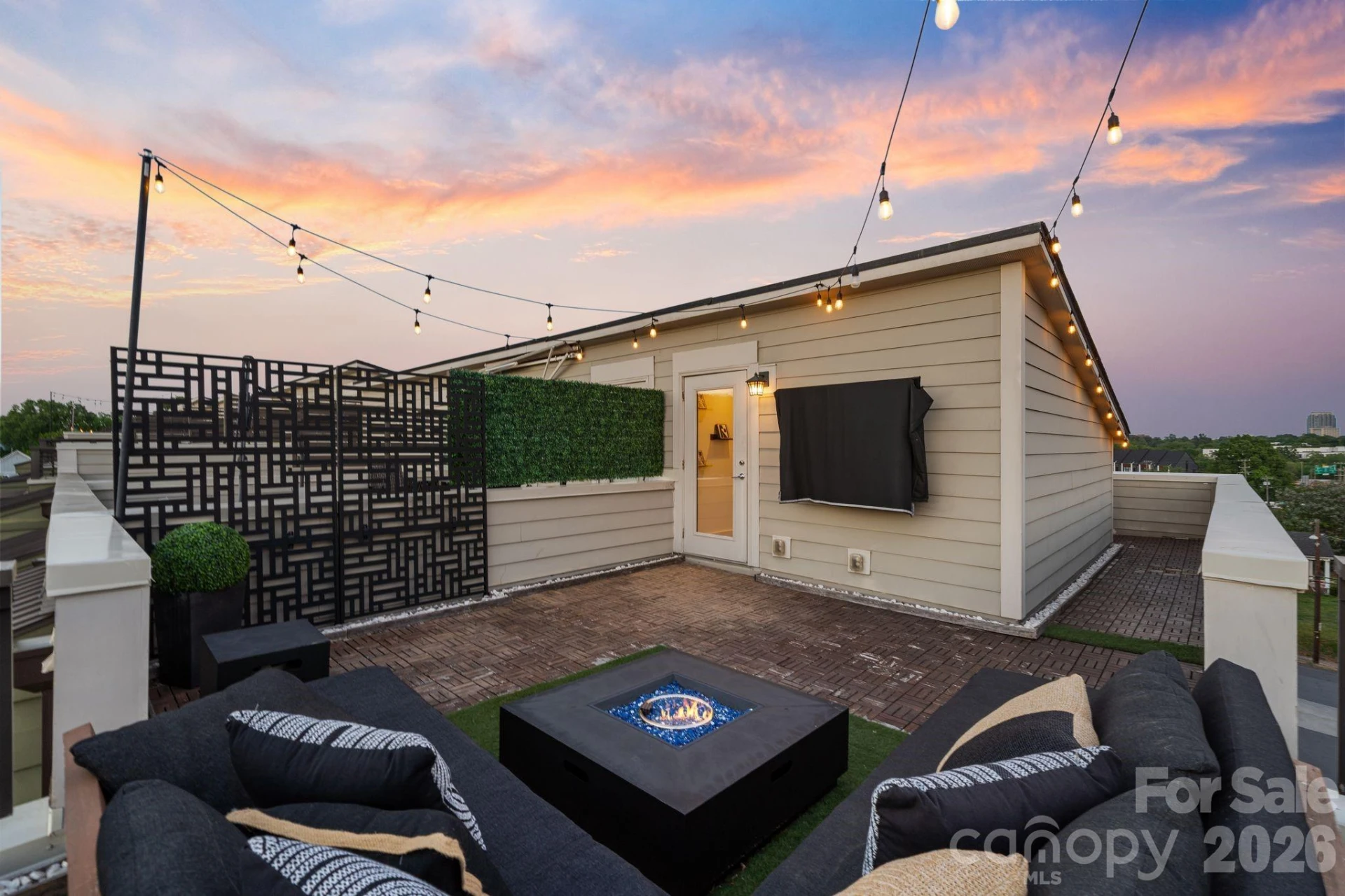 1605 Cannon View Lane - Photo 30
