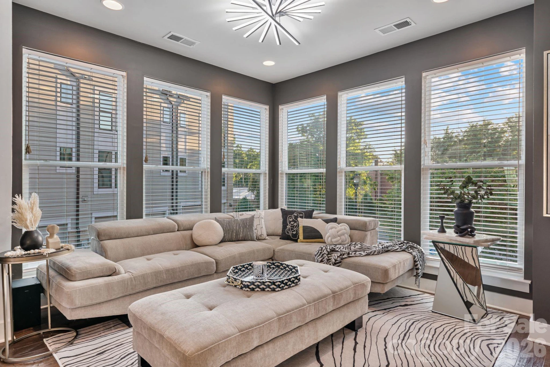 1605 Cannon View Lane - Photo 6