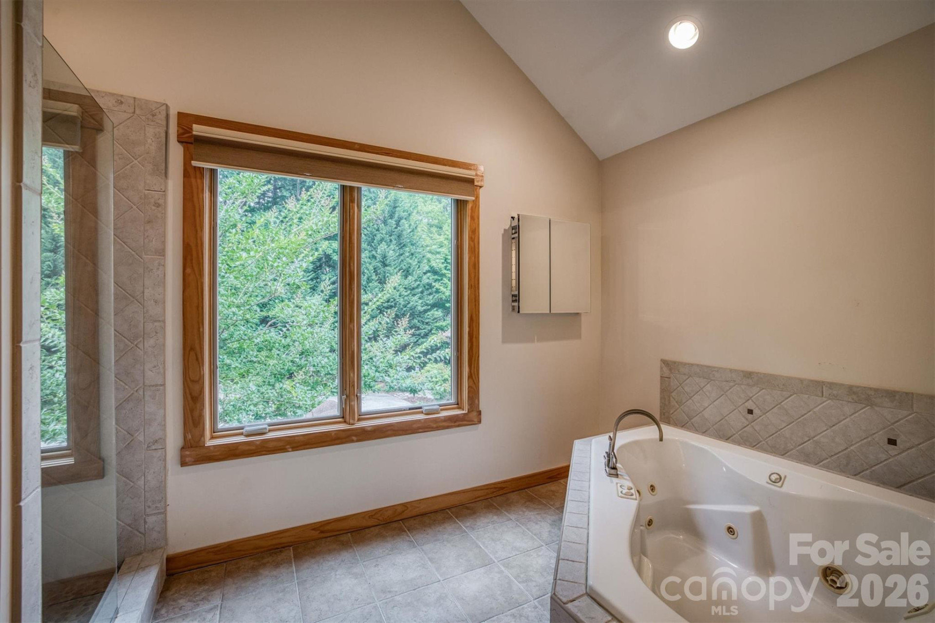 5162 Beech Bluff Drive - Photo 36