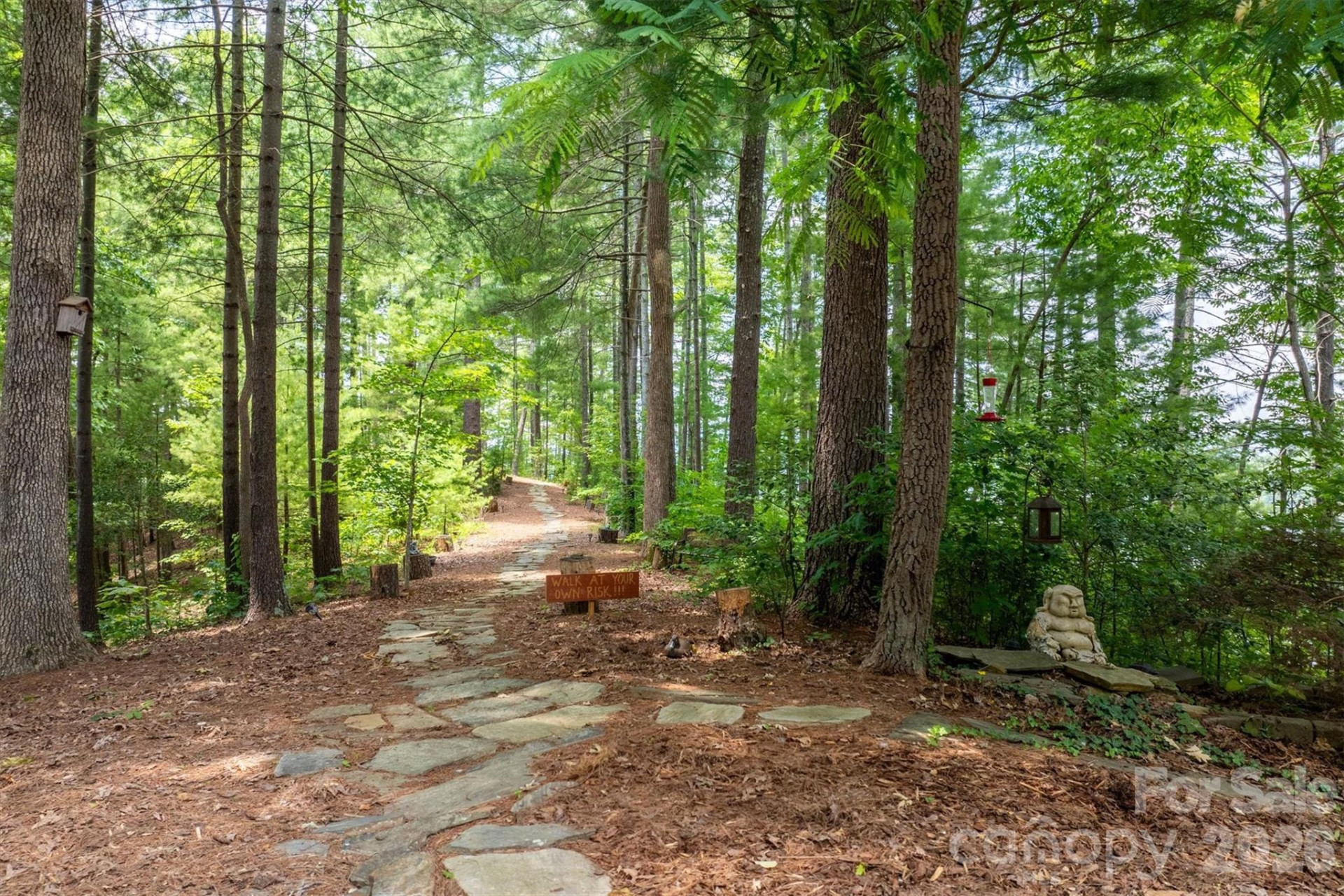 5162 Beech Bluff Drive - Photo 9