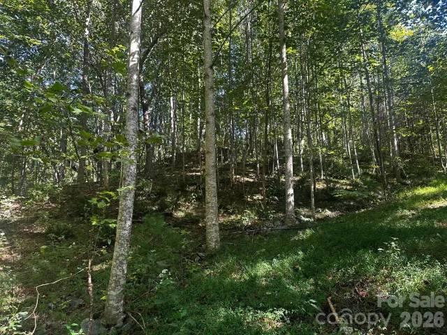 0 Clear Creek Trail