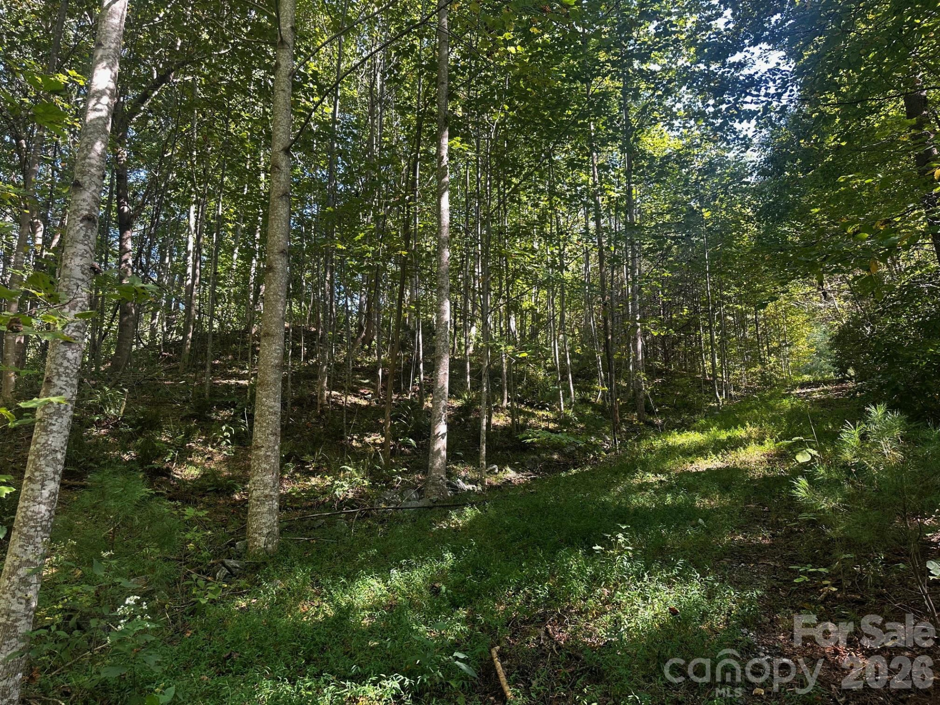 0 Clear Creek Trail - Photo 2