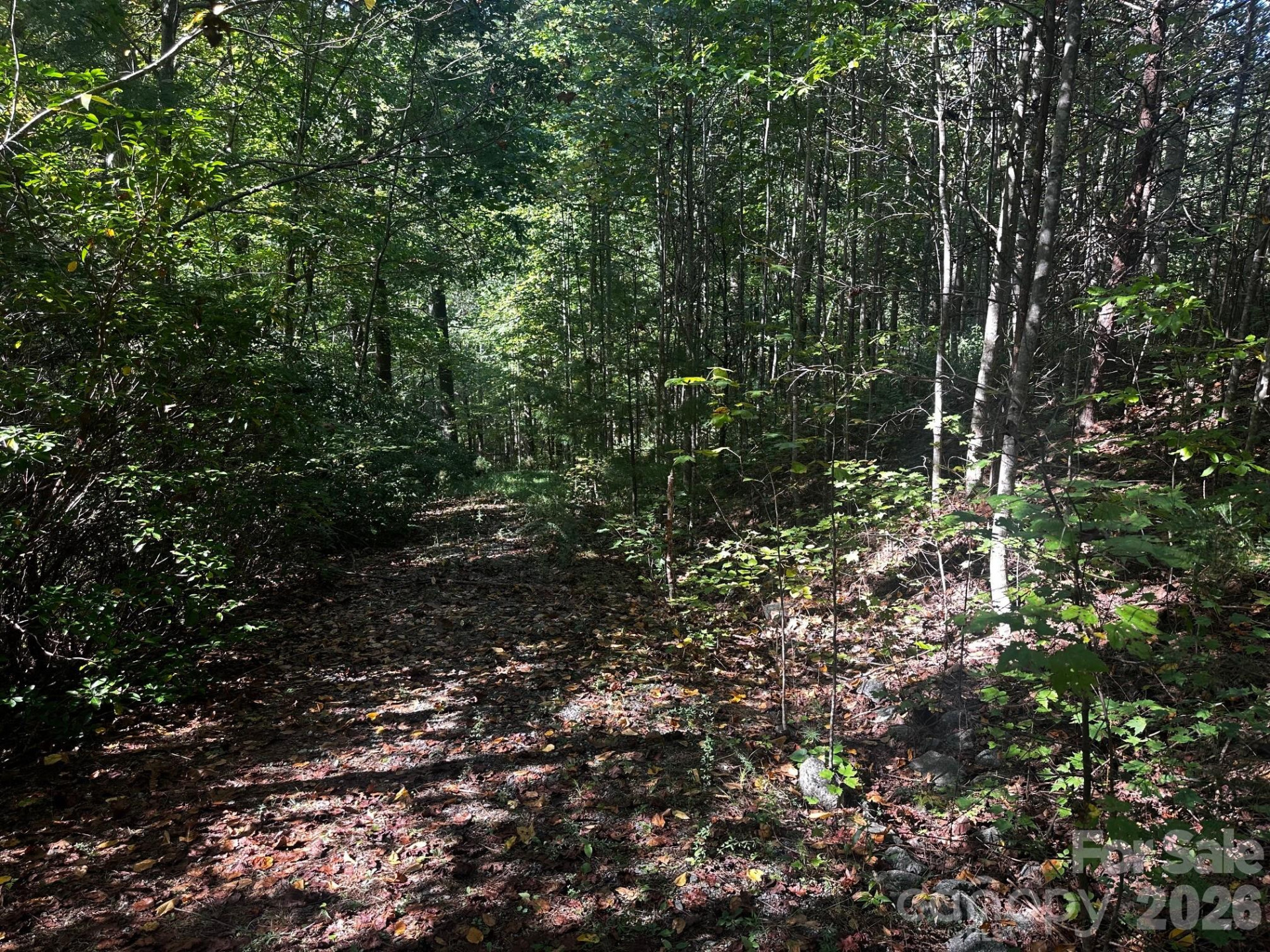 0 Clear Creek Trail - Photo 4