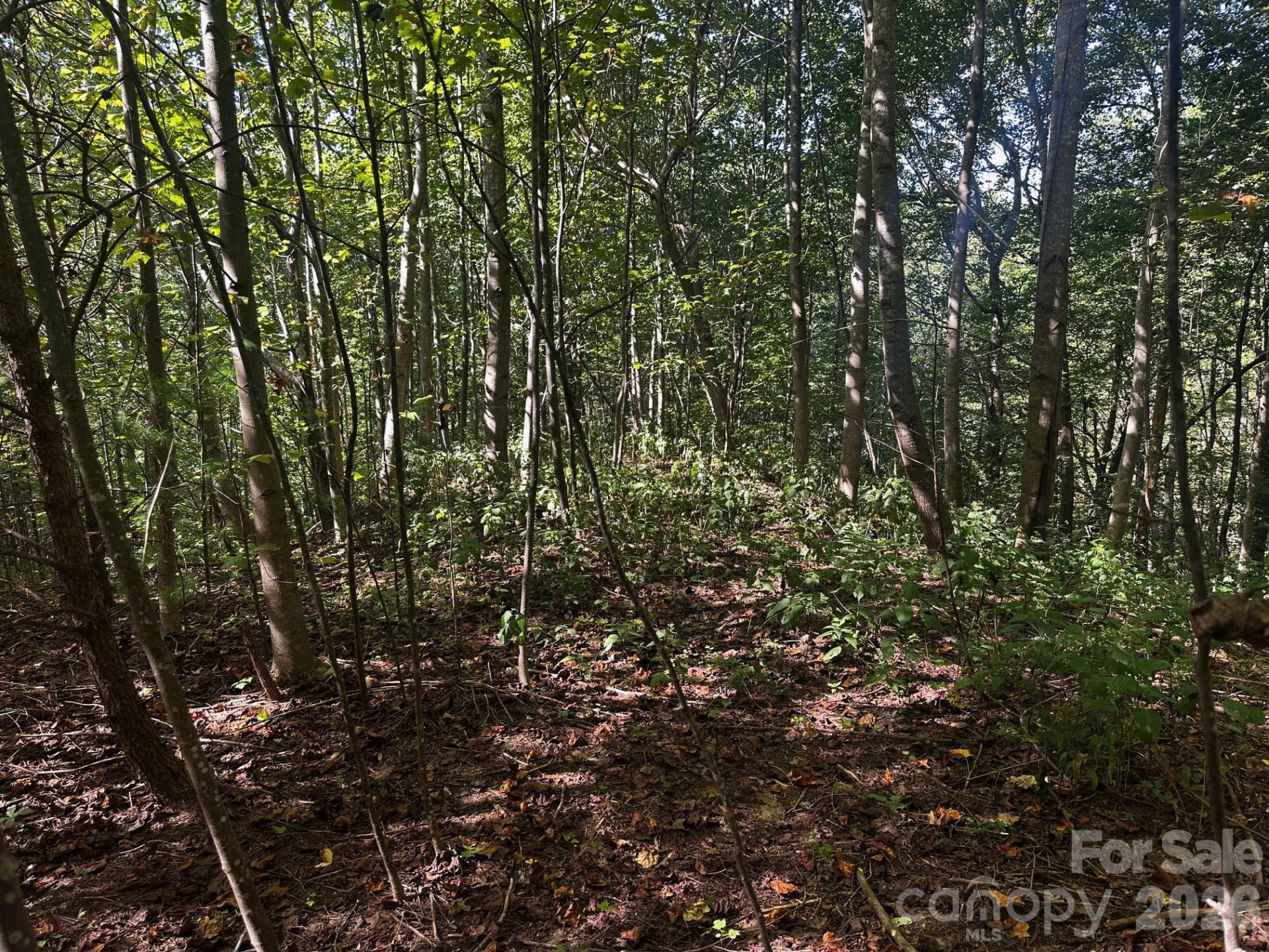 0 Clear Creek Trail - Photo 5