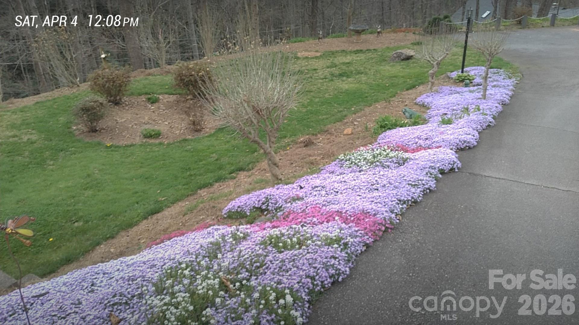 17 Twisted Trail - Photo 33