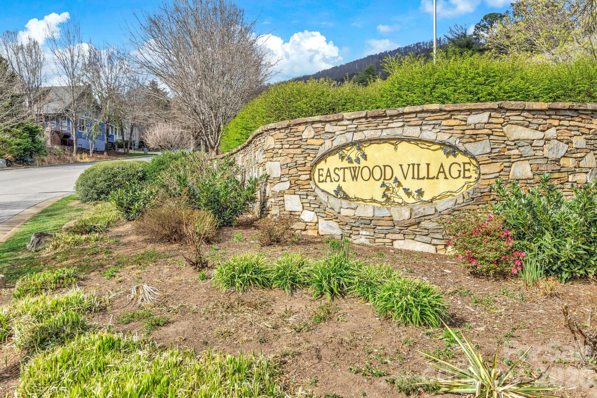 5 Veranda Trail #19 - Photo 4