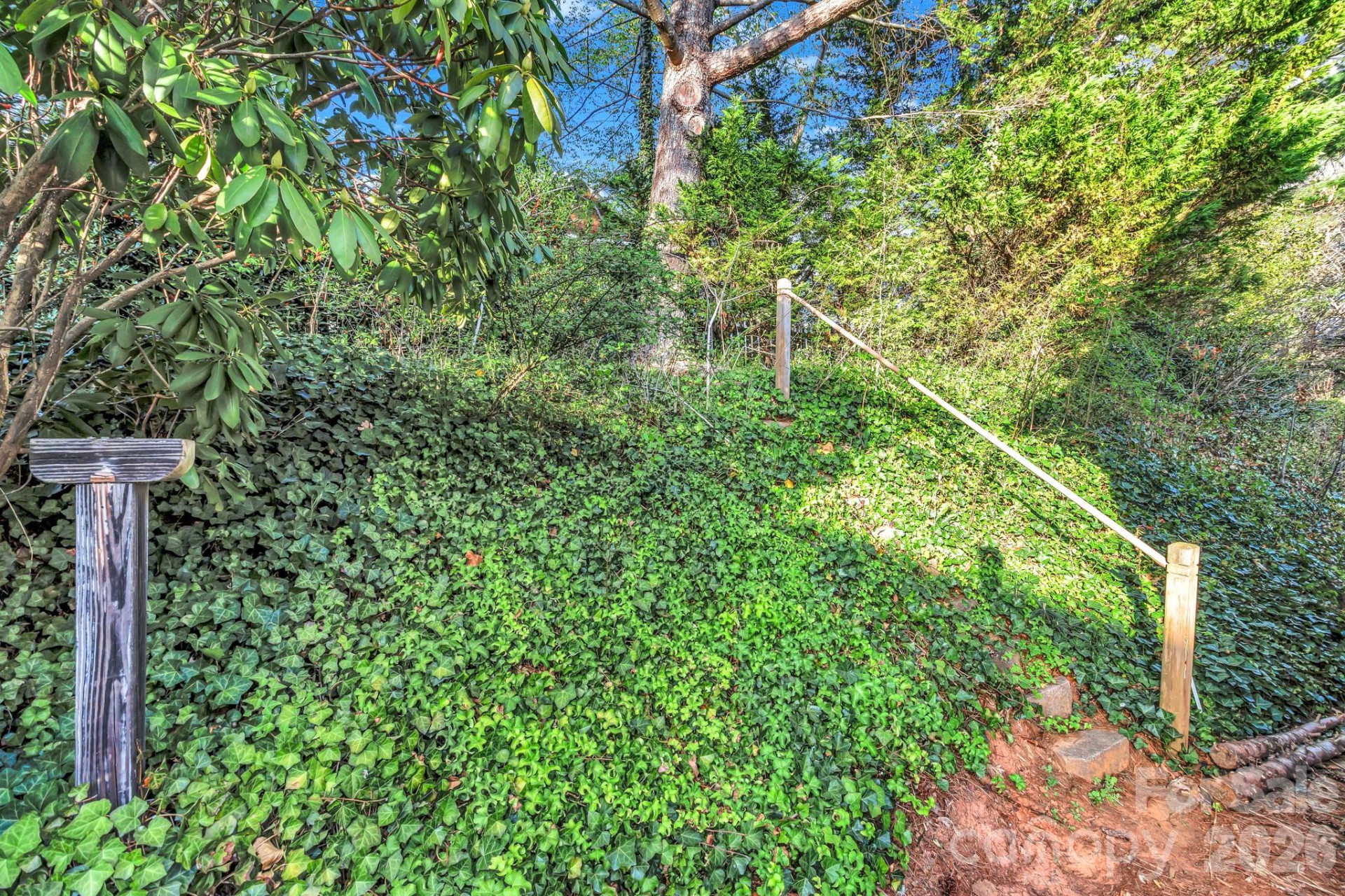 5 Veranda Trail #19 - Photo 42