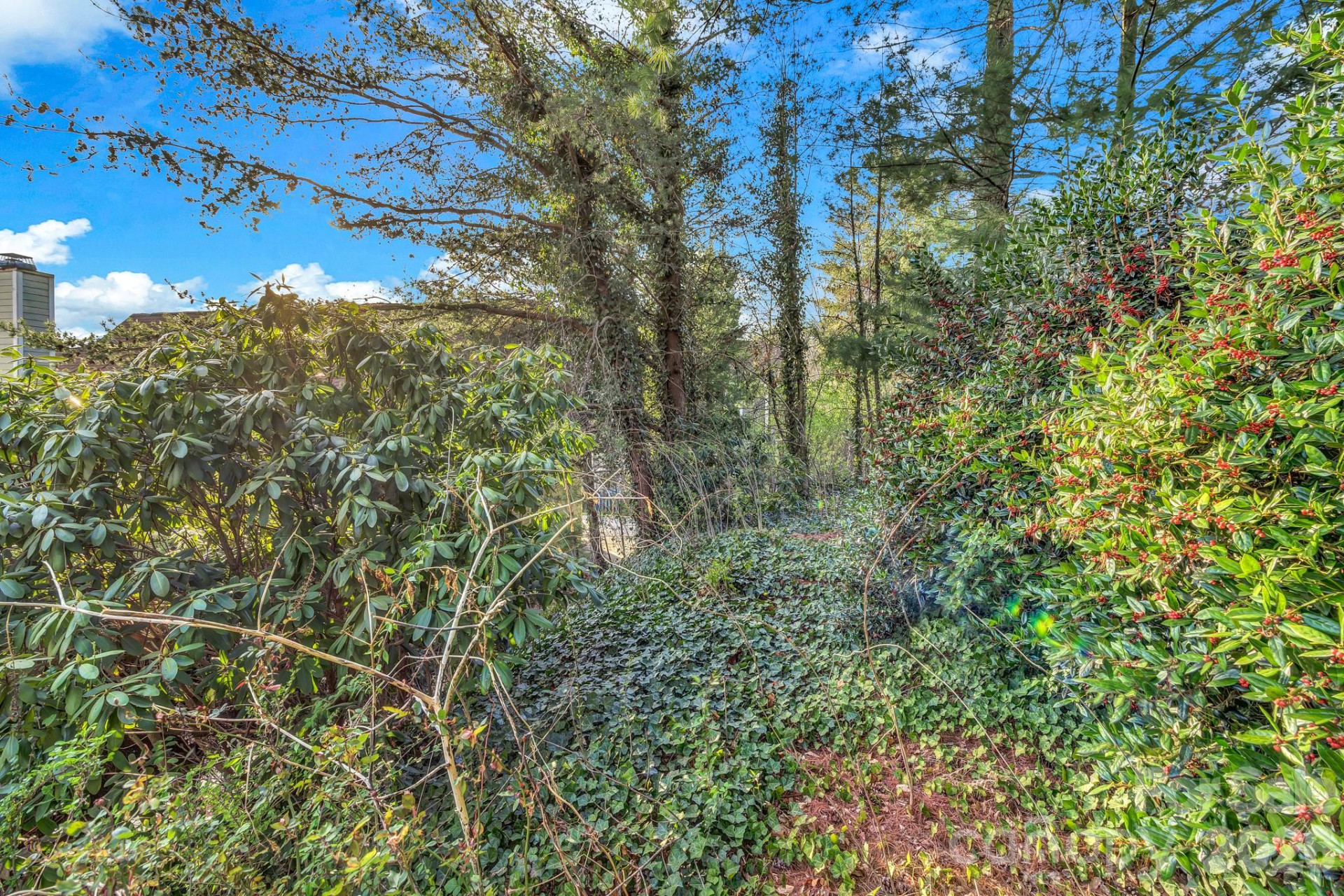 5 Veranda Trail #19 - Photo 43