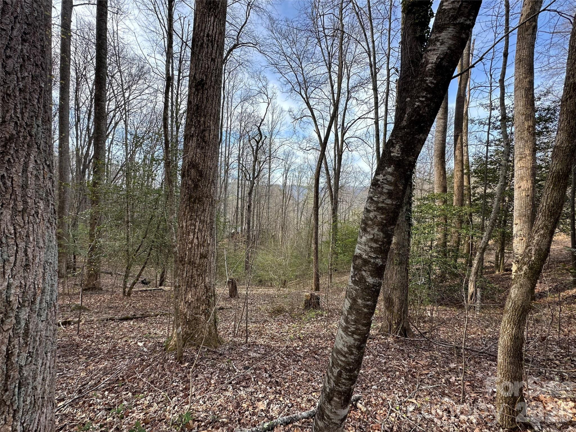 440 Holly Falls Lane - Photo 4