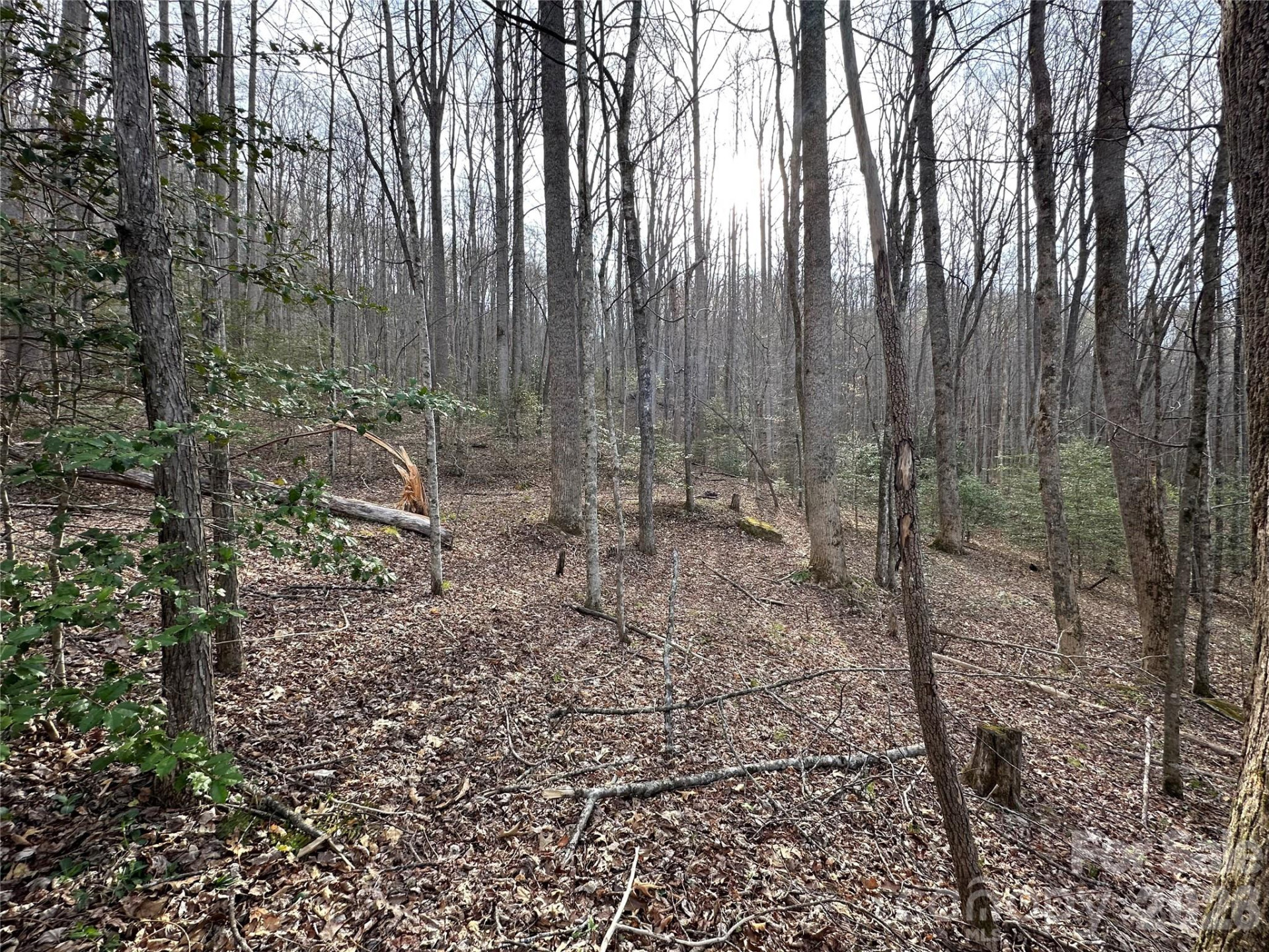 440 Holly Falls Lane - Photo 5