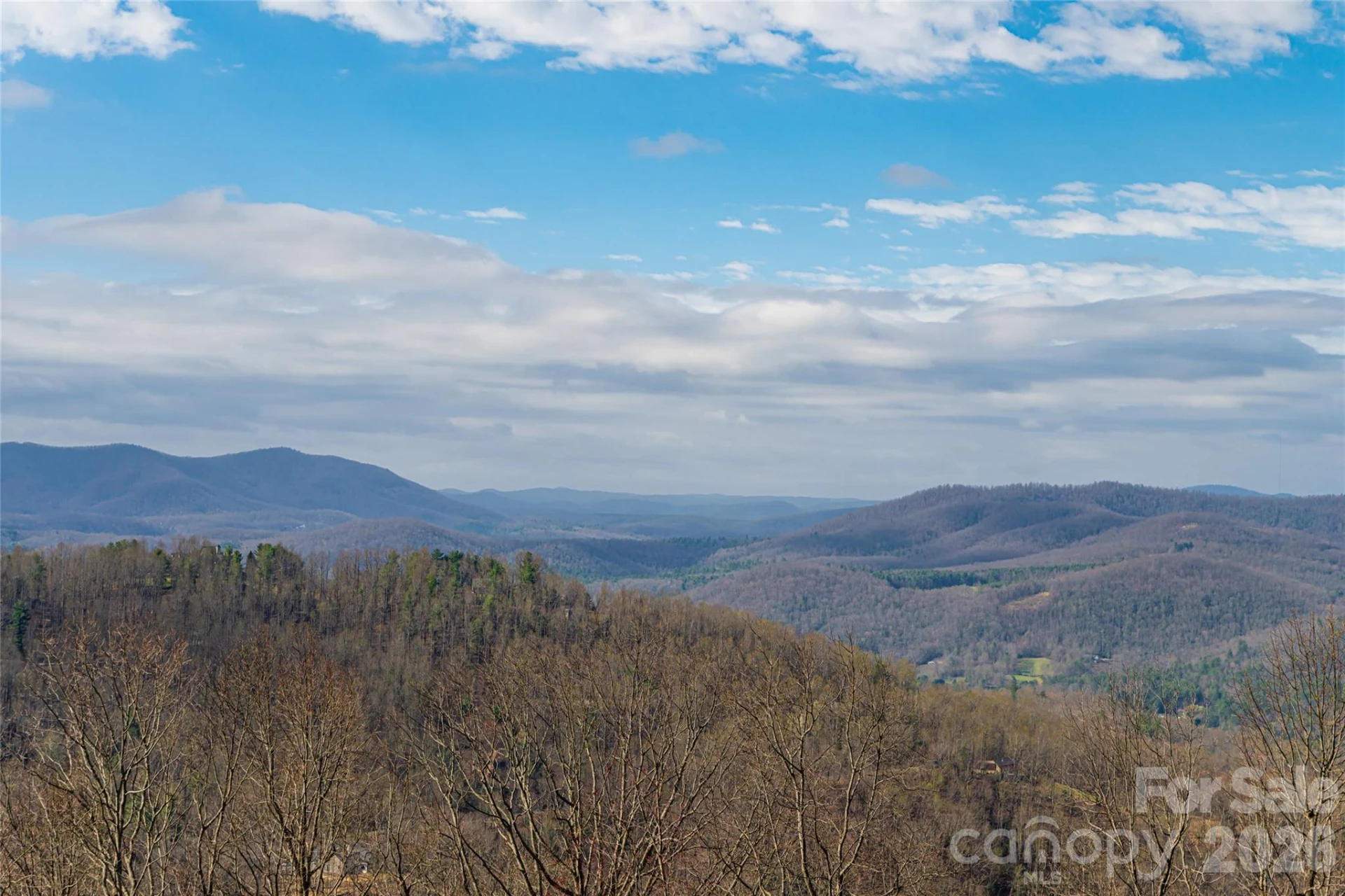 1203 Fleetwood Plaza - Photo 49