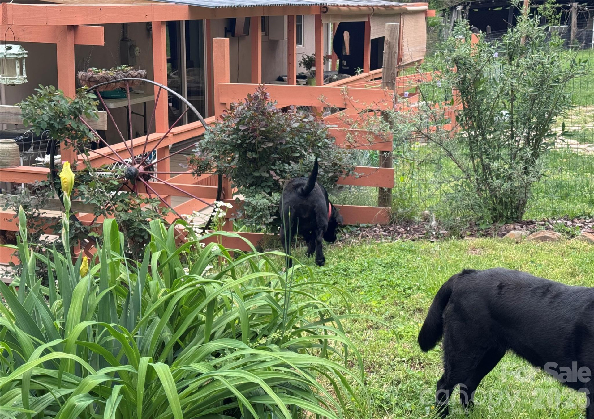 450 Piney Mountain Road - Photo 6