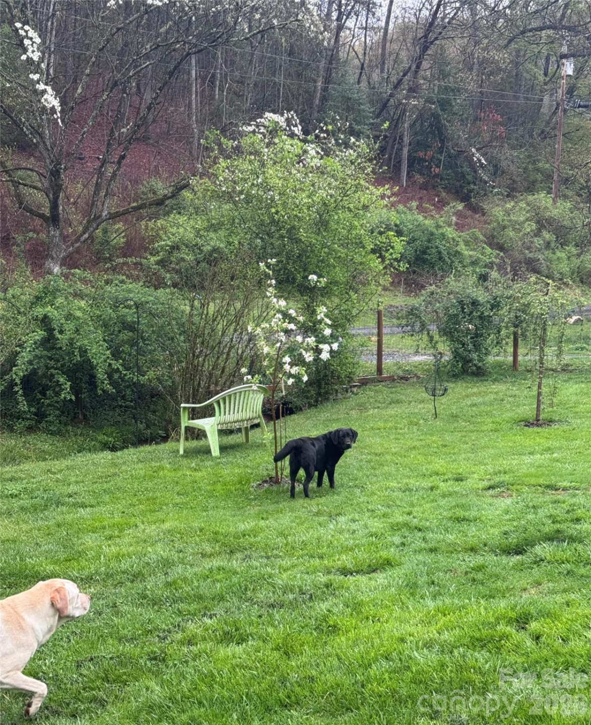 450 Piney Mountain Road - Photo 8