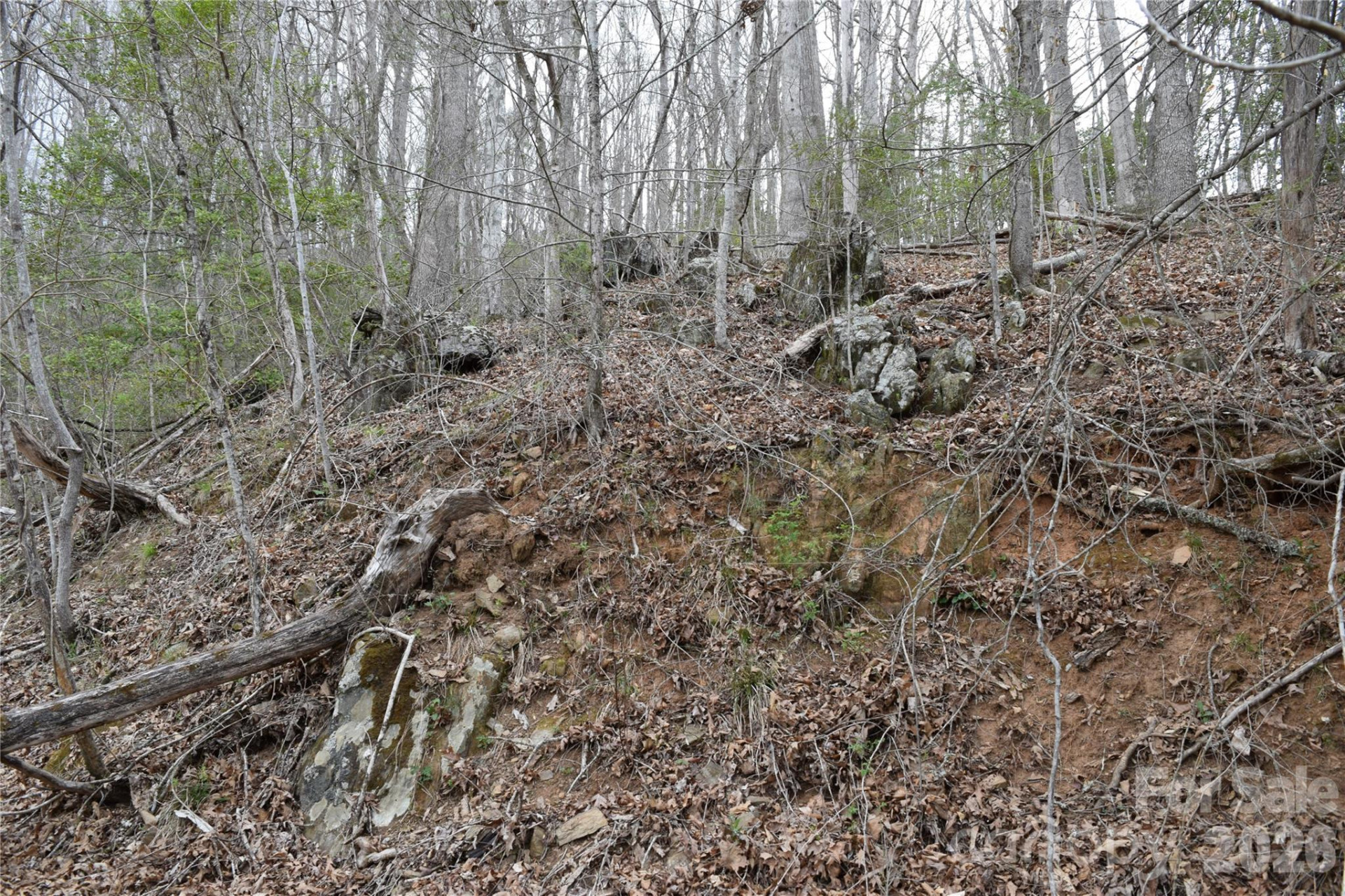 TBD Bel Air Road #18-19, 21, 23,27-28,31-33 - Photo 14