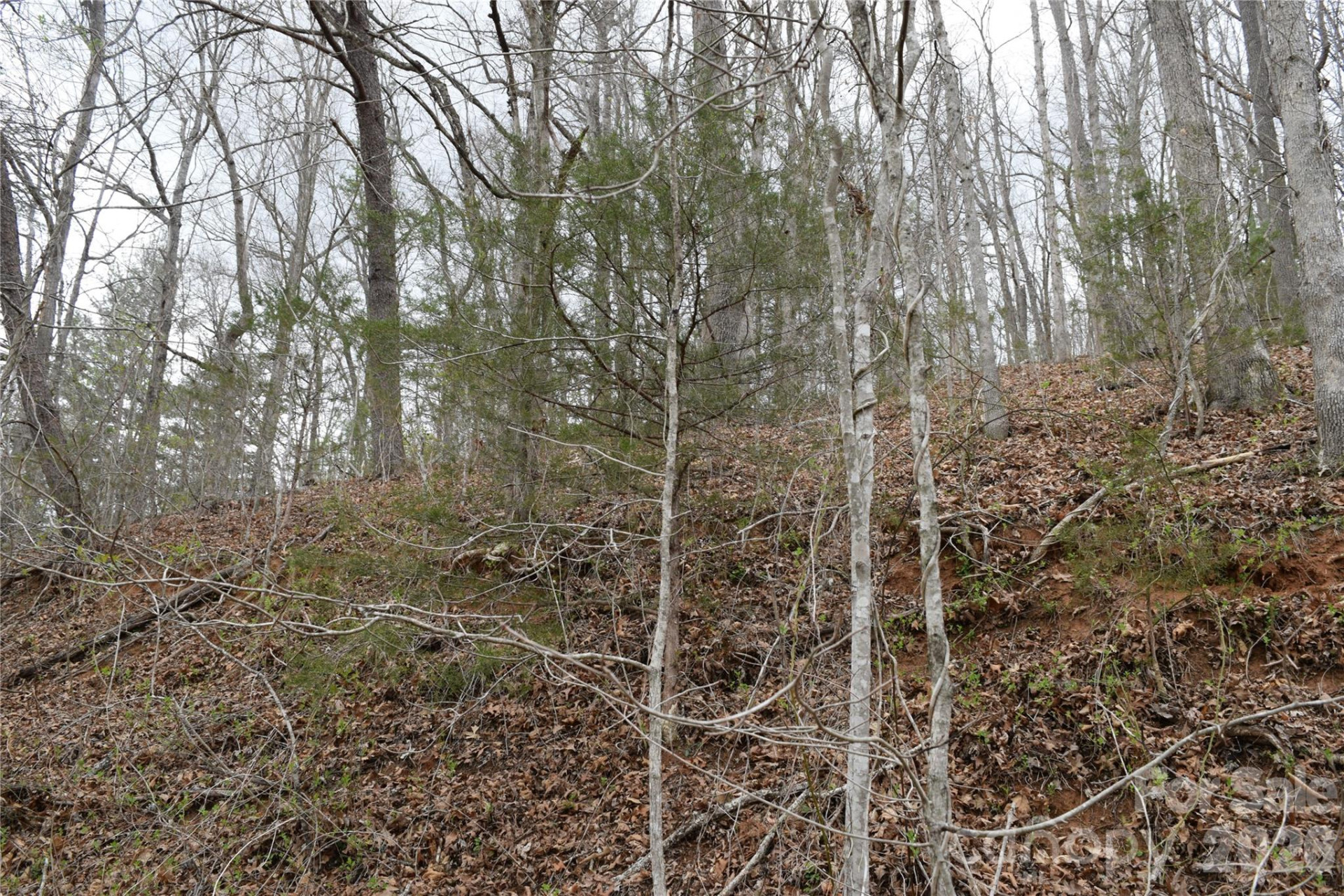 TBD Bel Air Road #18-19, 21, 23,27-28,31-33 - Photo 15