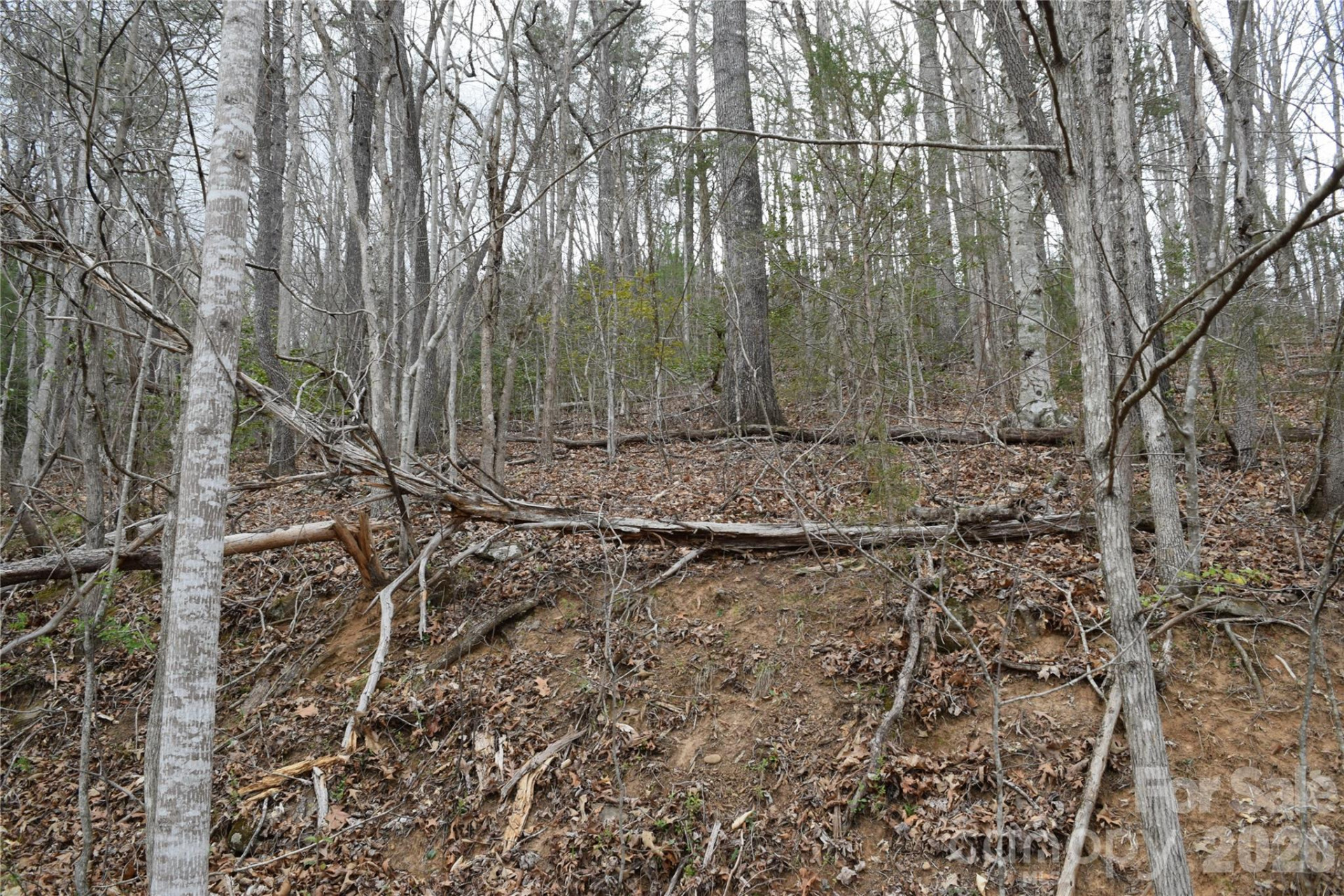 TBD Bel Air Road #18-19, 21, 23,27-28,31-33 - Photo 16