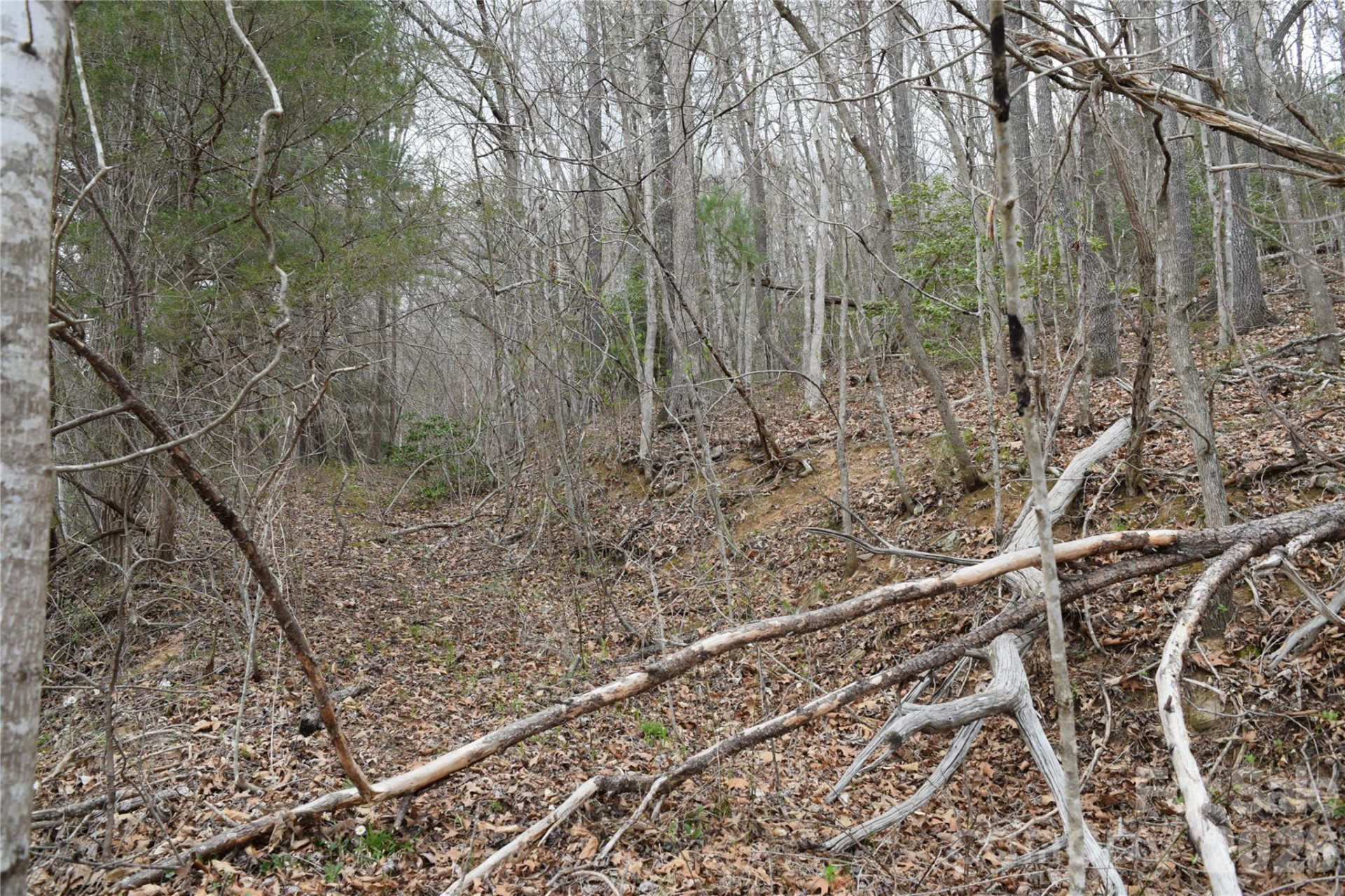 TBD Bel Air Road #18-19, 21, 23,27-28,31-33 - Photo 17