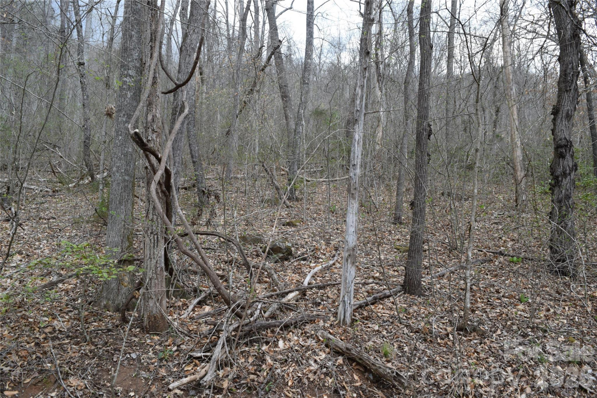 TBD Bel Air Road #18-19, 21, 23,27-28,31-33 - Photo 4