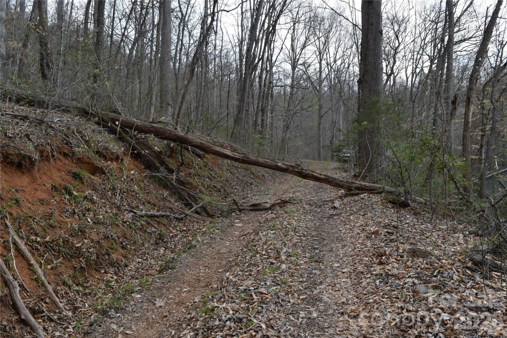 TBD Bel Air Road #18-19, 21, 23,27-28,31-33 - Photo 5