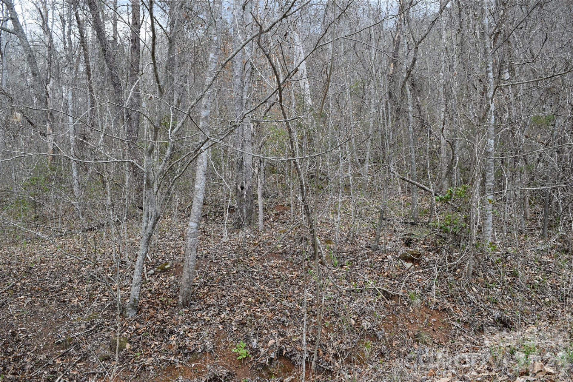 TBD Bel Air Road #18-19, 21, 23,27-28,31-33 - Photo 6