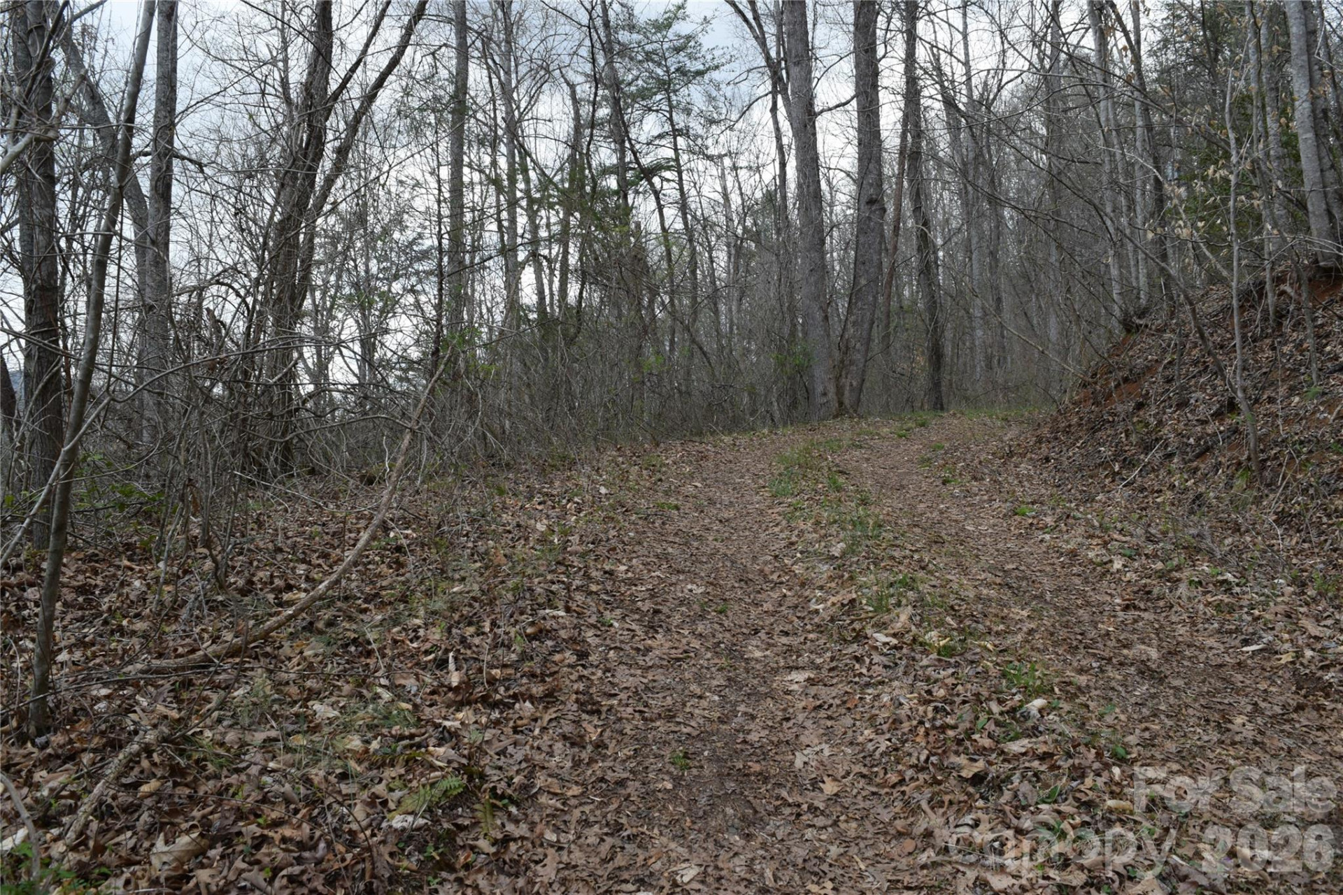 TBD Bel Air Road #18-19, 21, 23,27-28,31-33 - Photo 7