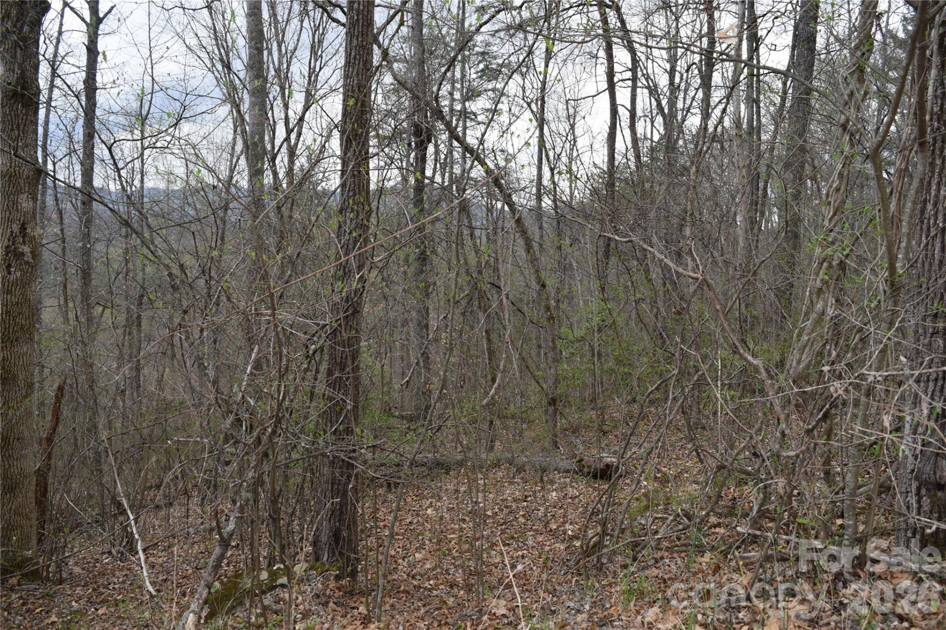 TBD Bel Air Road #18-19, 21, 23,27-28,31-33 - Photo 9