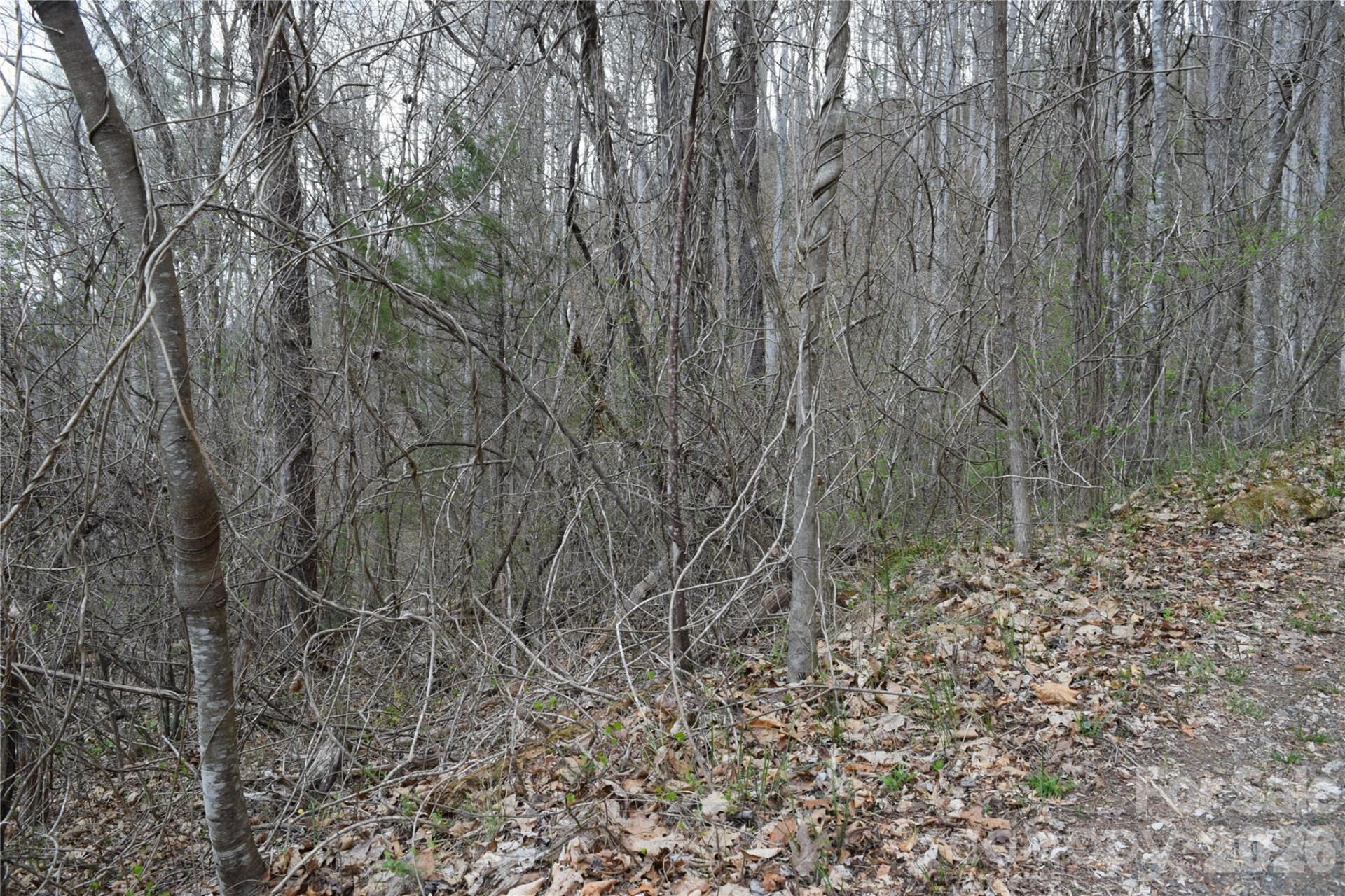 TBD Bel Air Road #18-19, 21, 23,27-28,31-33 - Photo 10