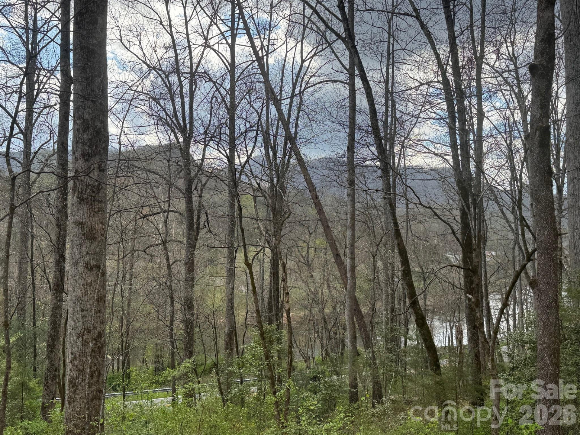 315 River Road - Photo 12