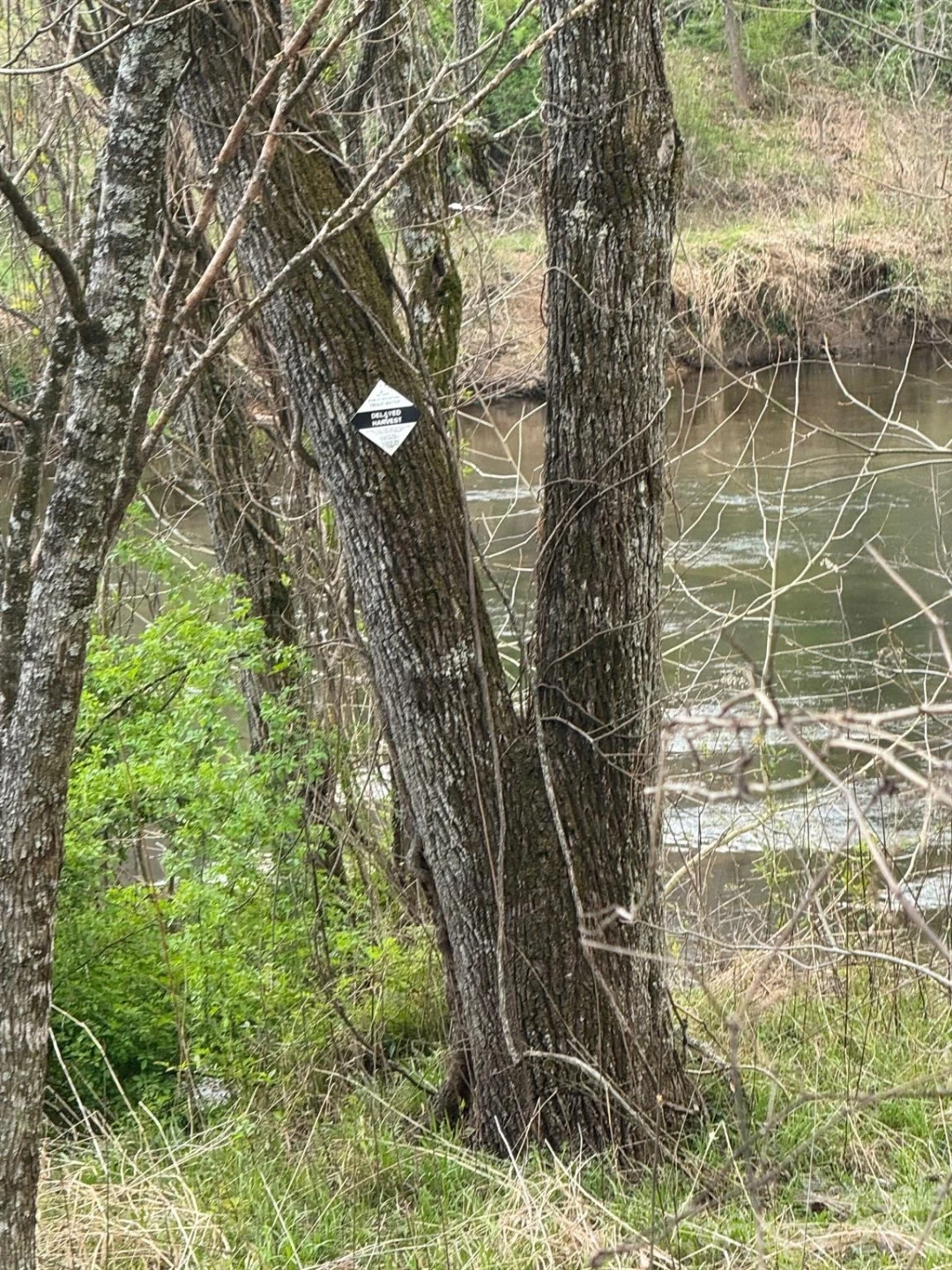 315 River Road - Photo 30