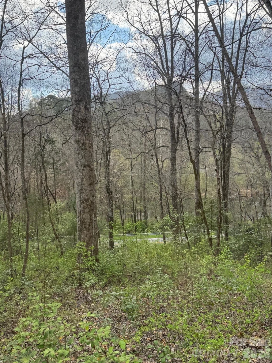 315 River Road - Photo 31