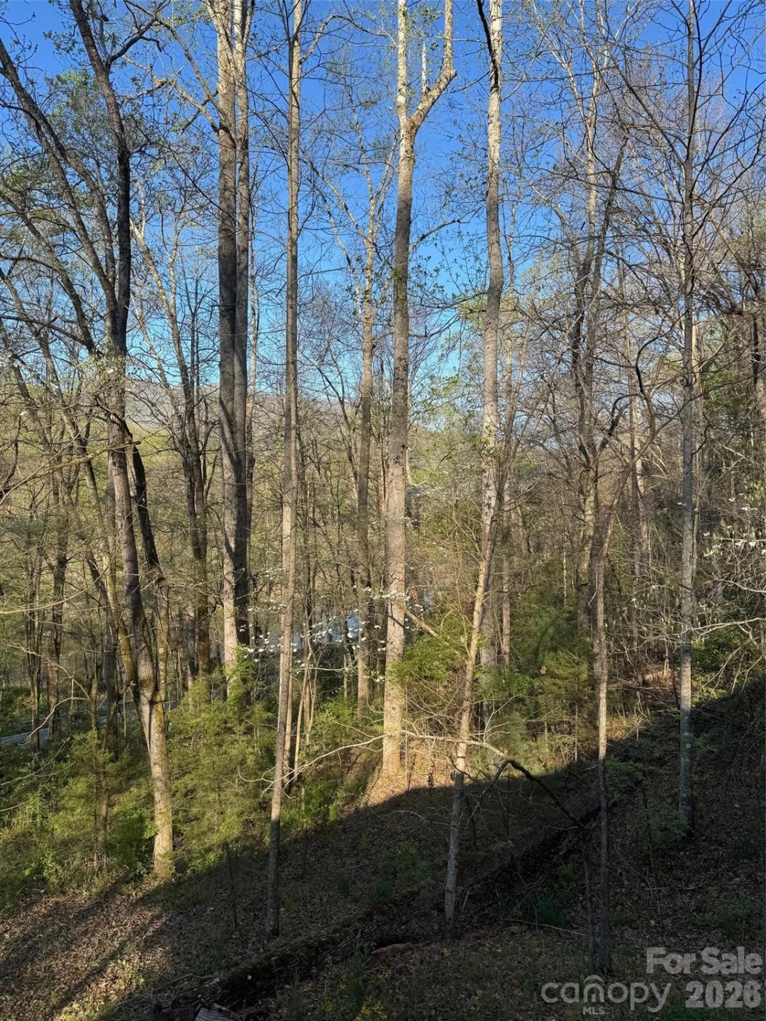 315 River Road - Photo 35