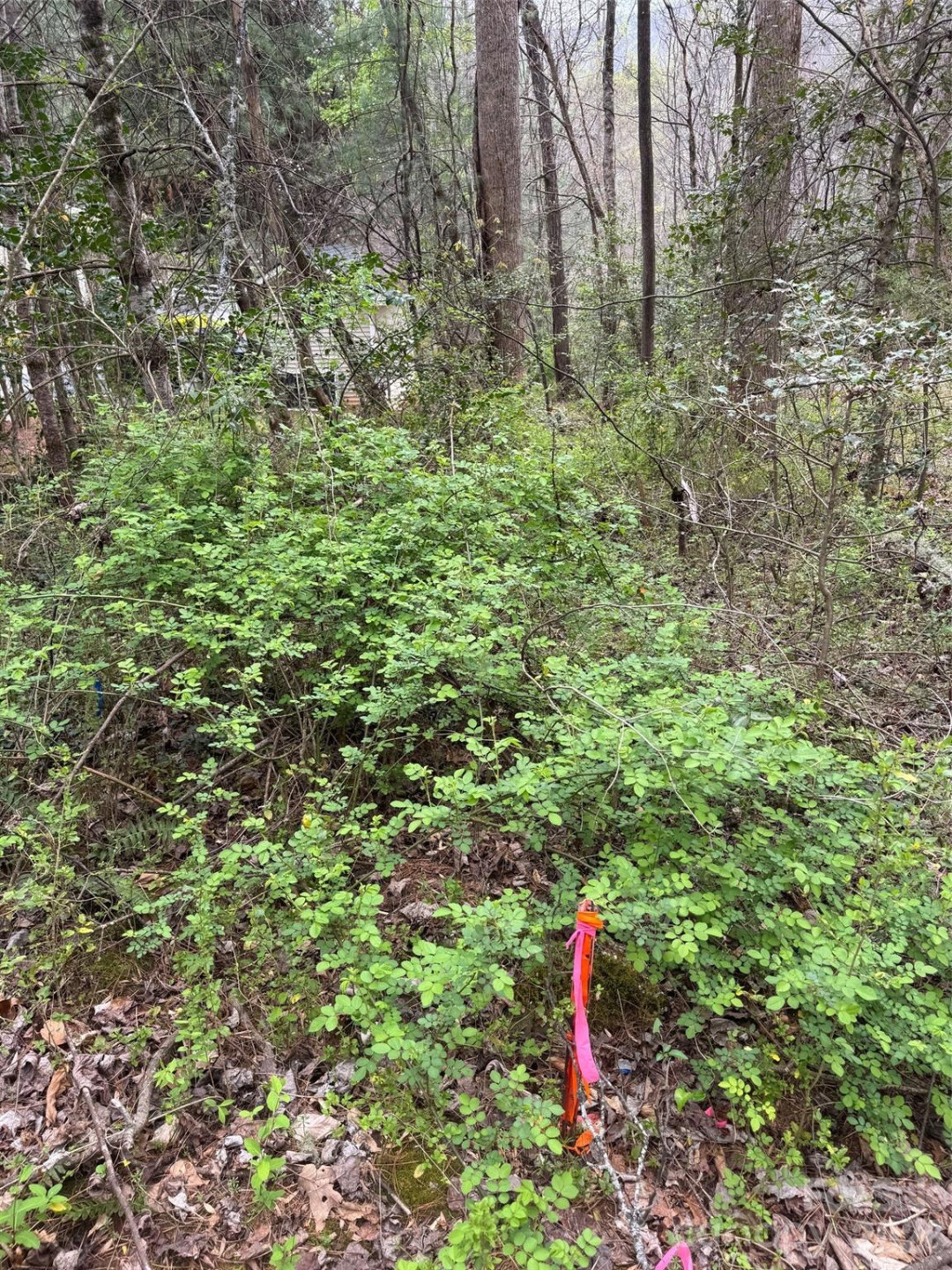 315 River Road - Photo 42