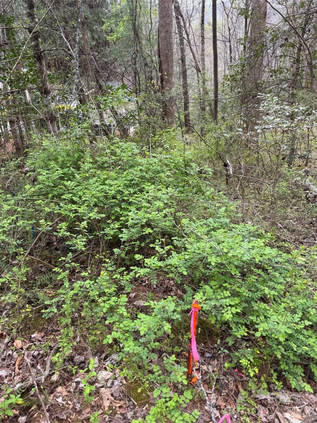 315 River Road - Photo 39