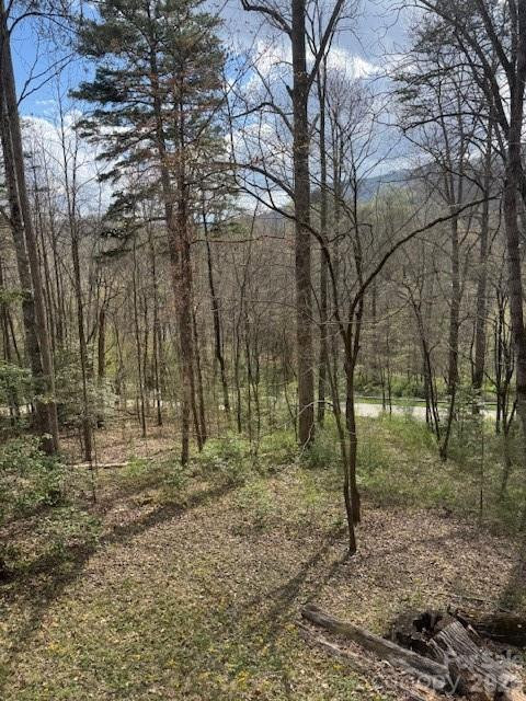 315 River Road - Photo 5