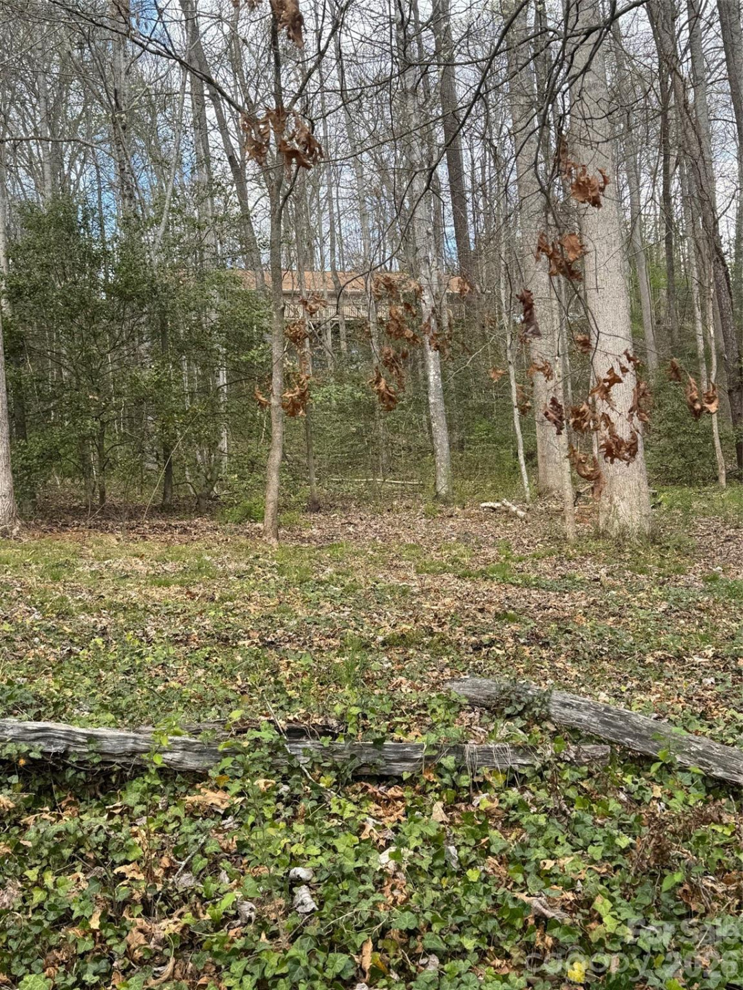 315 River Road - Photo 47
