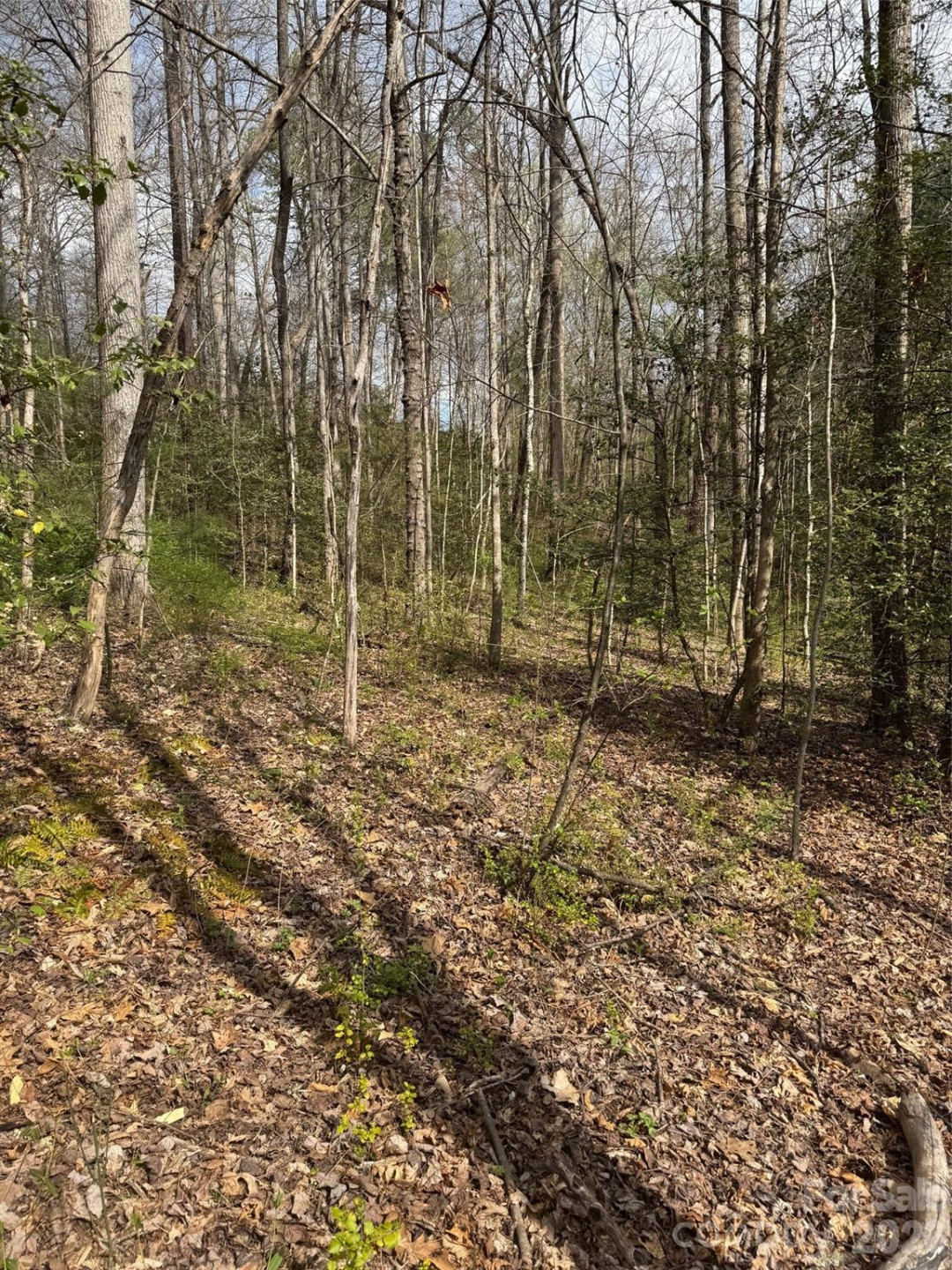 315 River Road - Photo 7