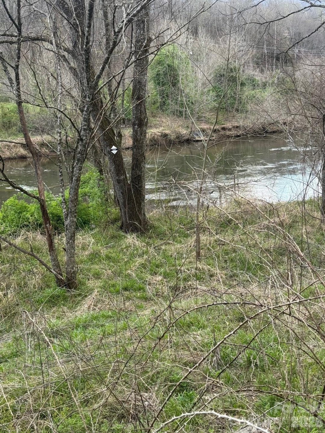 315 River Road - Photo 11