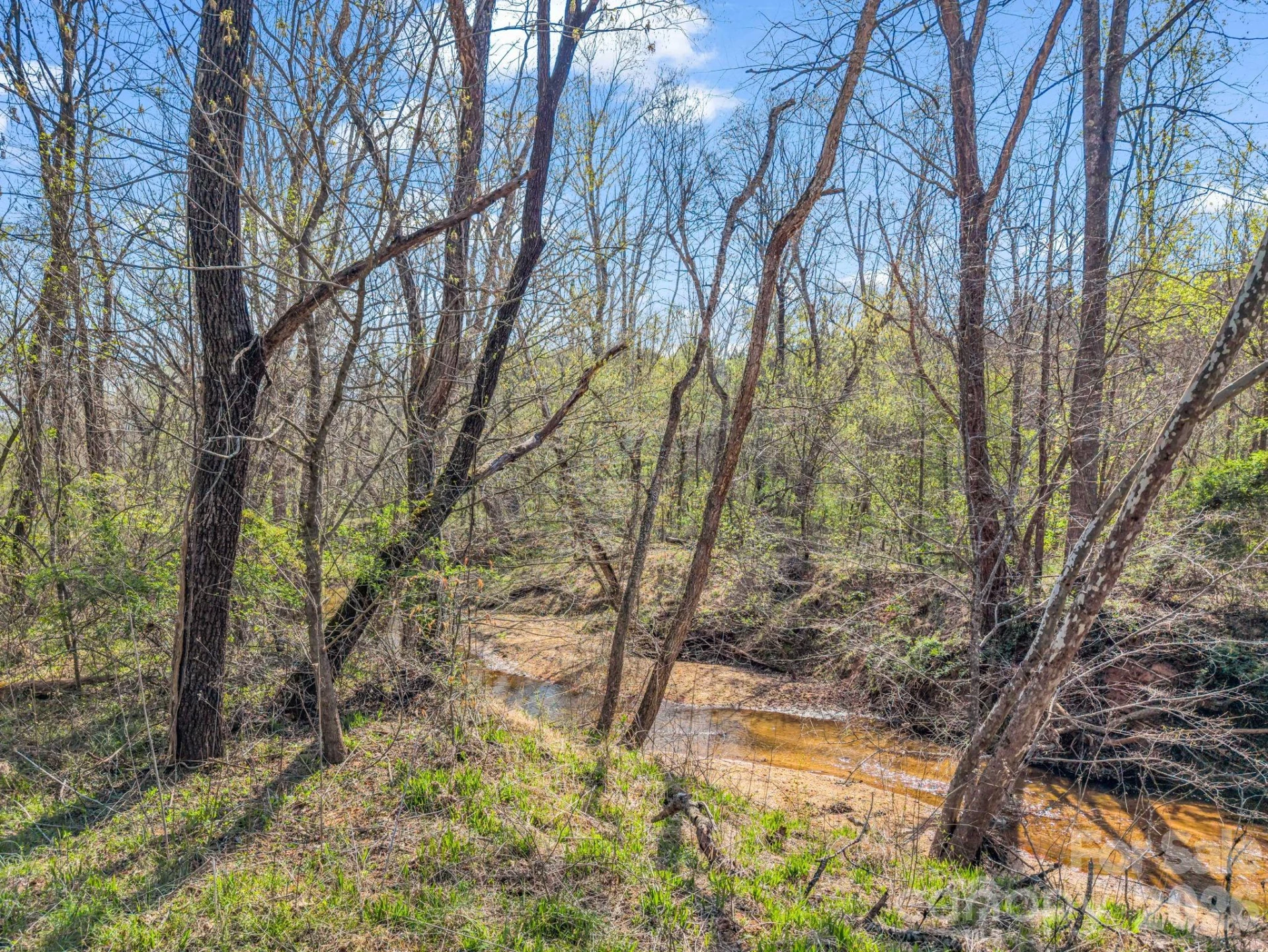 990 Romey Campbell Road - Photo 11
