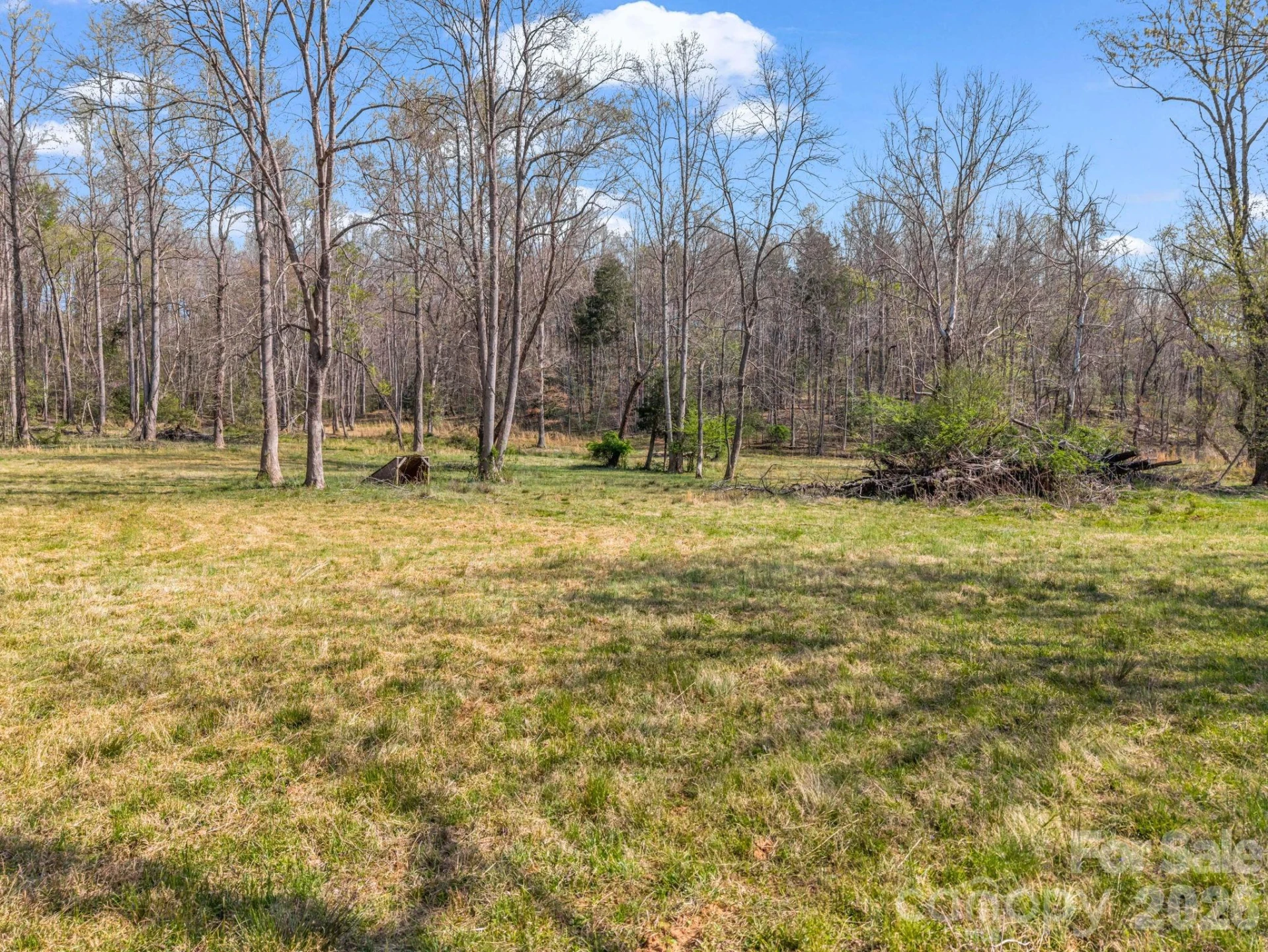 990 Romey Campbell Road - Photo 12