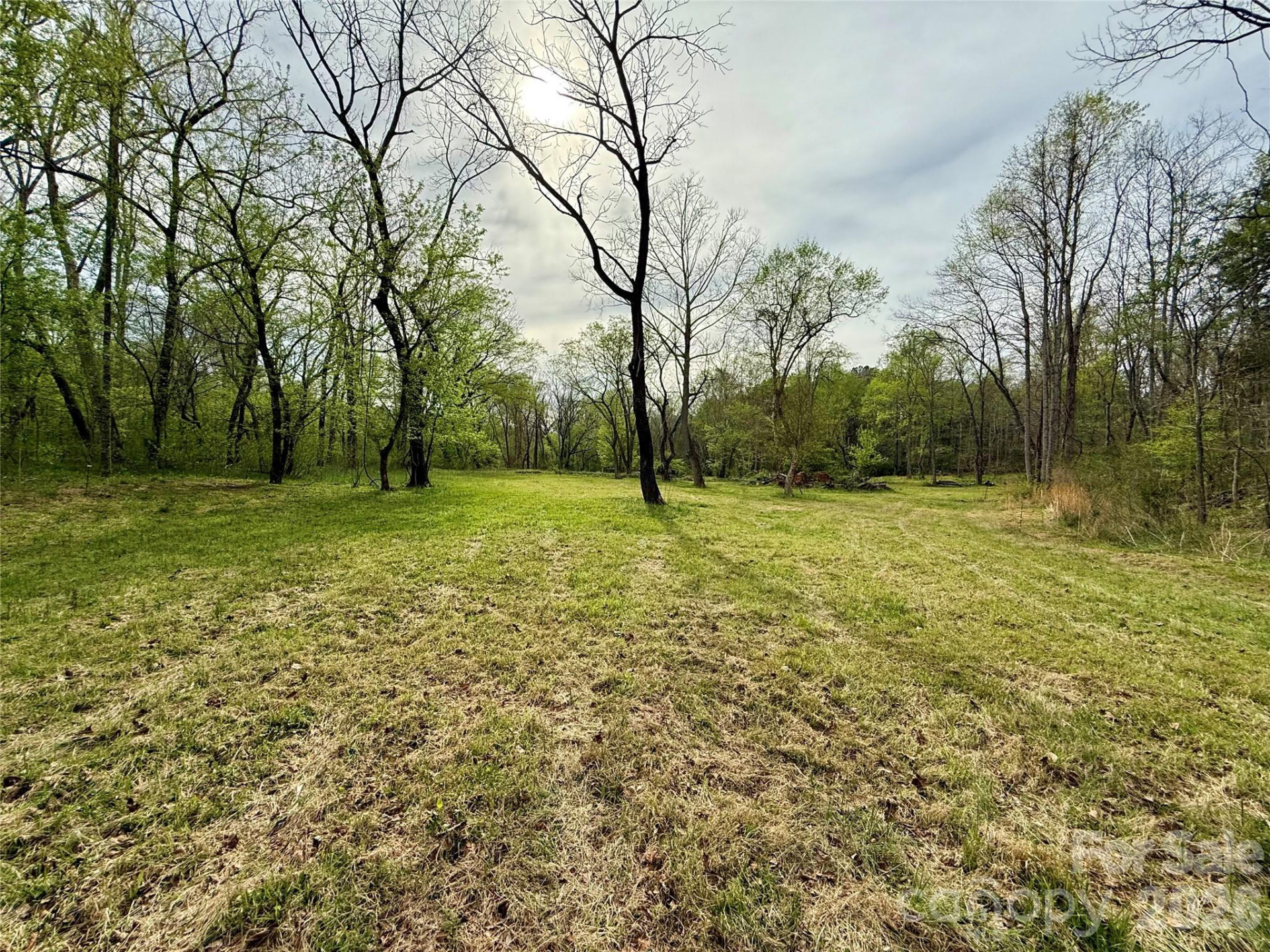 990 Romey Campbell Road - Photo 46