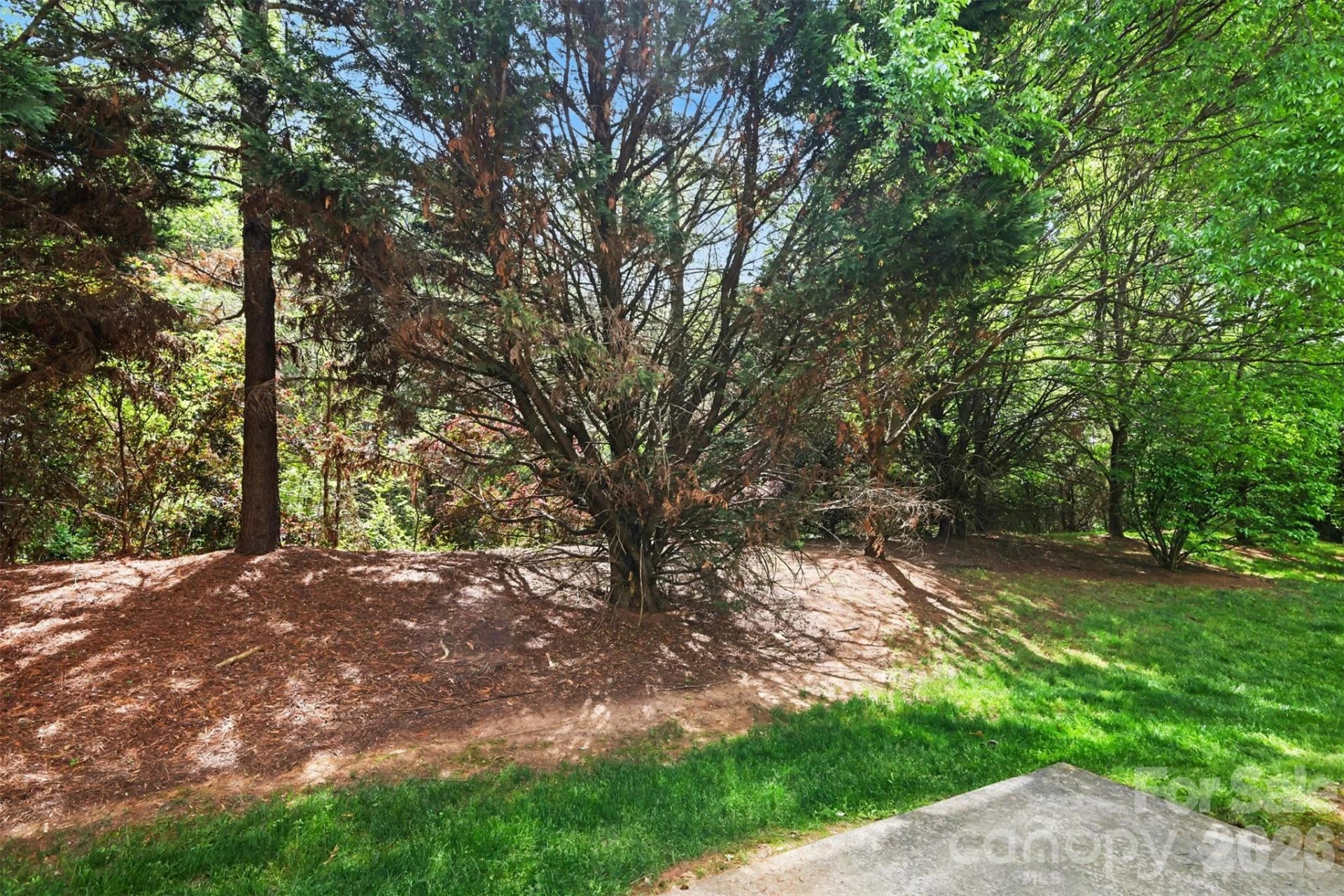 13504 Calloway Glen Drive - Photo 21