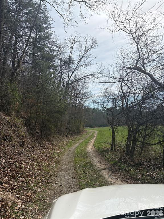 242 area Radford Road #3 - Photo 2