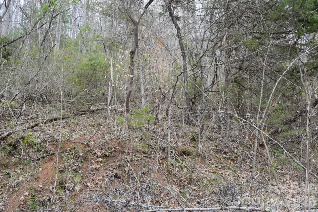 TBD Bel Air Road, Cullowhee, NC, 28723