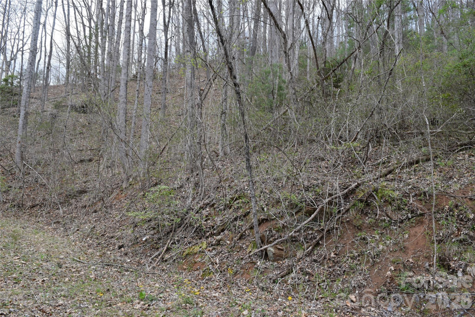 TBD Bel Air Road #20 - Photo 2