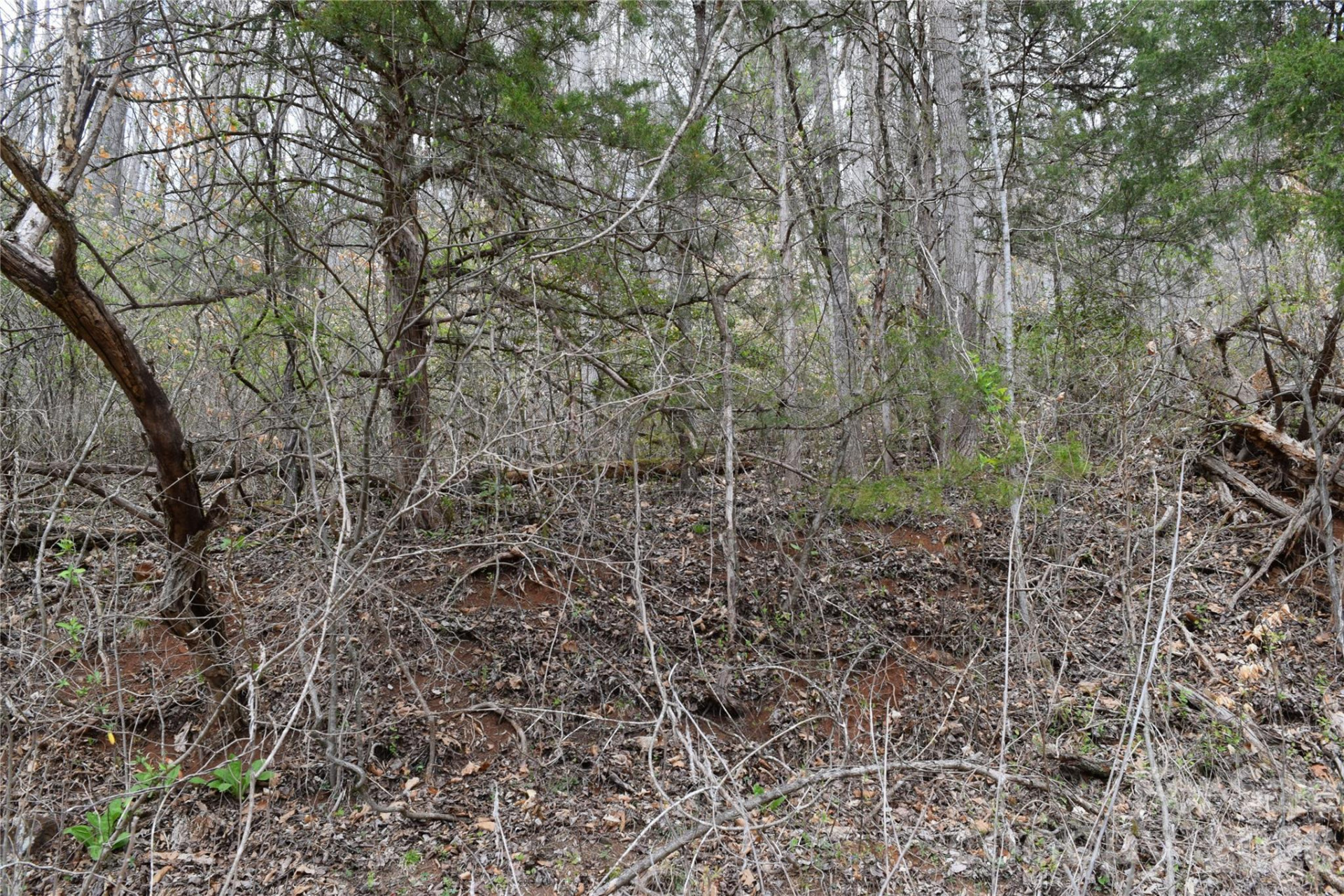 TBD Bel Air Road #20 - Photo 3