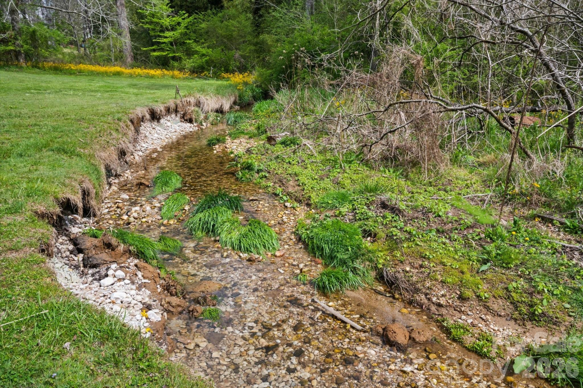 239 Ashworth Avenue - Photo 28