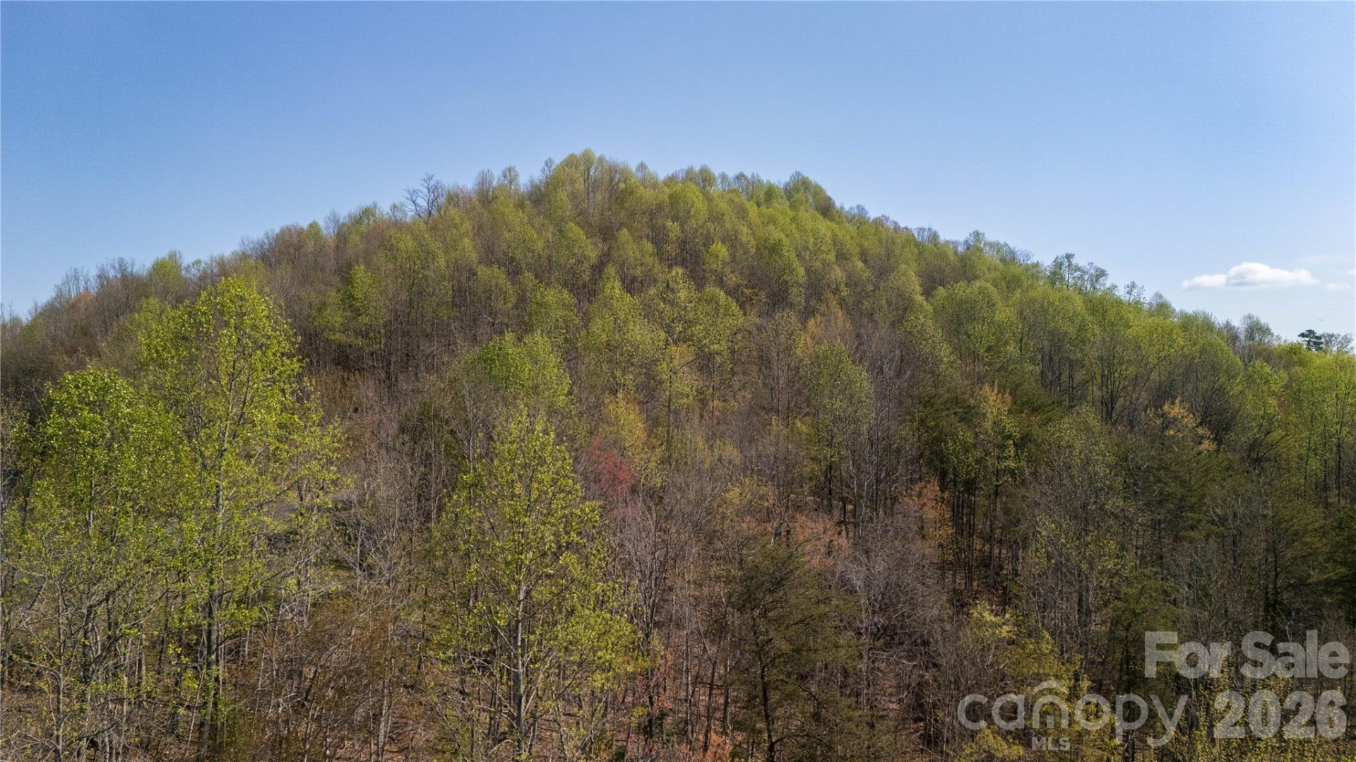 TBD Owls Ridge Road - Photo 11